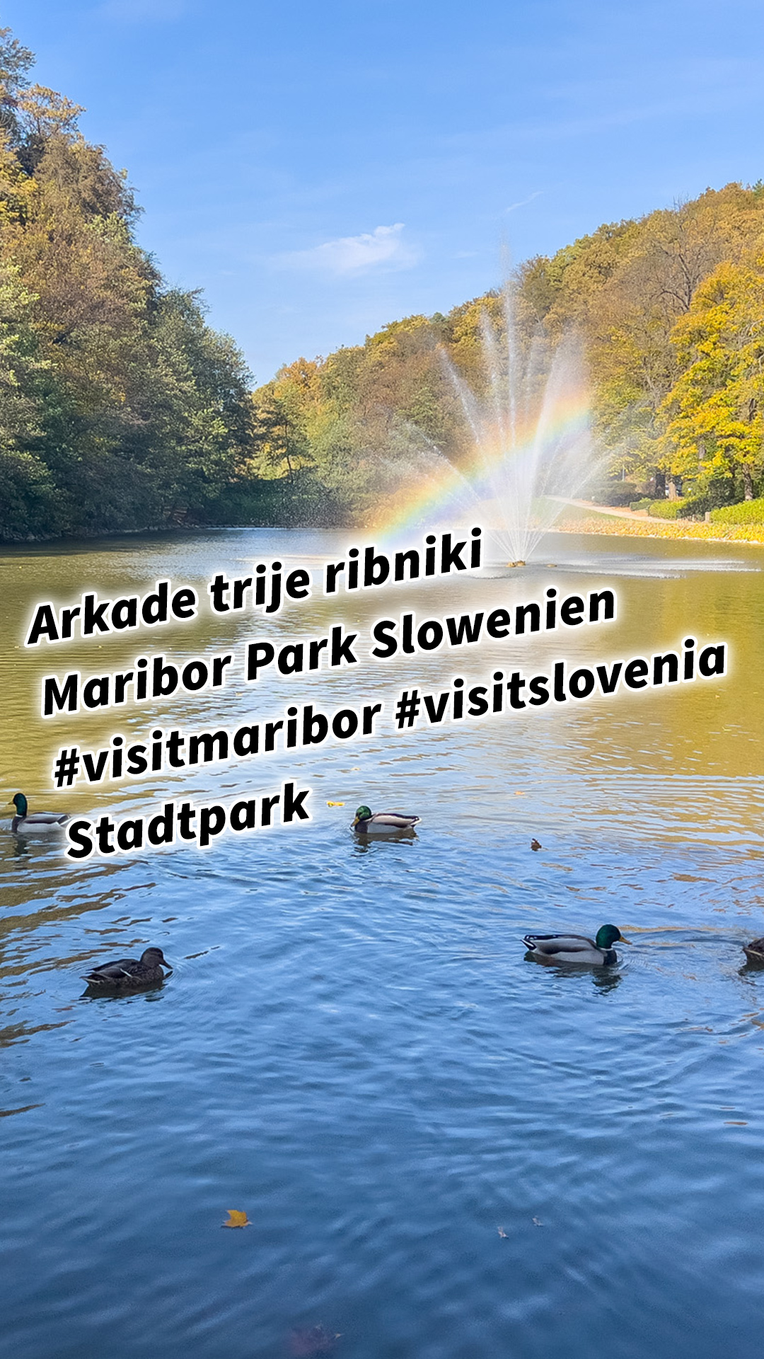 Arkade trije ribniki Maribor Mestni Park Slowenien #visitmaribor #visitslovenia Stadtpark