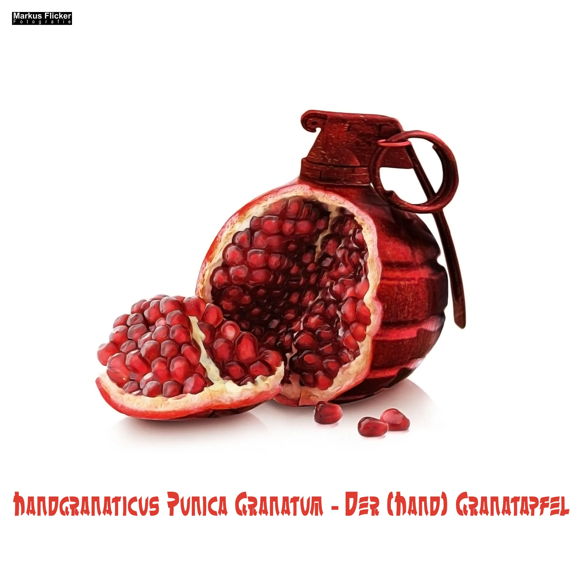 Handgranaticus Punica Granatum -- Der (Hand) Granatapfel - Photoshop Compositing #markusflicker