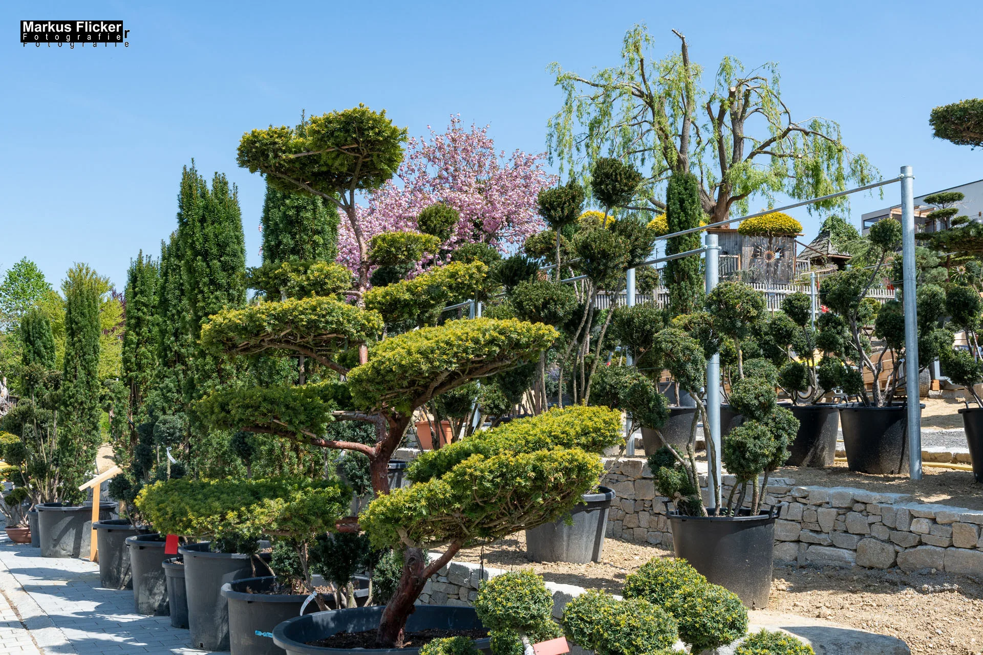 Das Gartentalent bei Höfler Erlebnisgärten