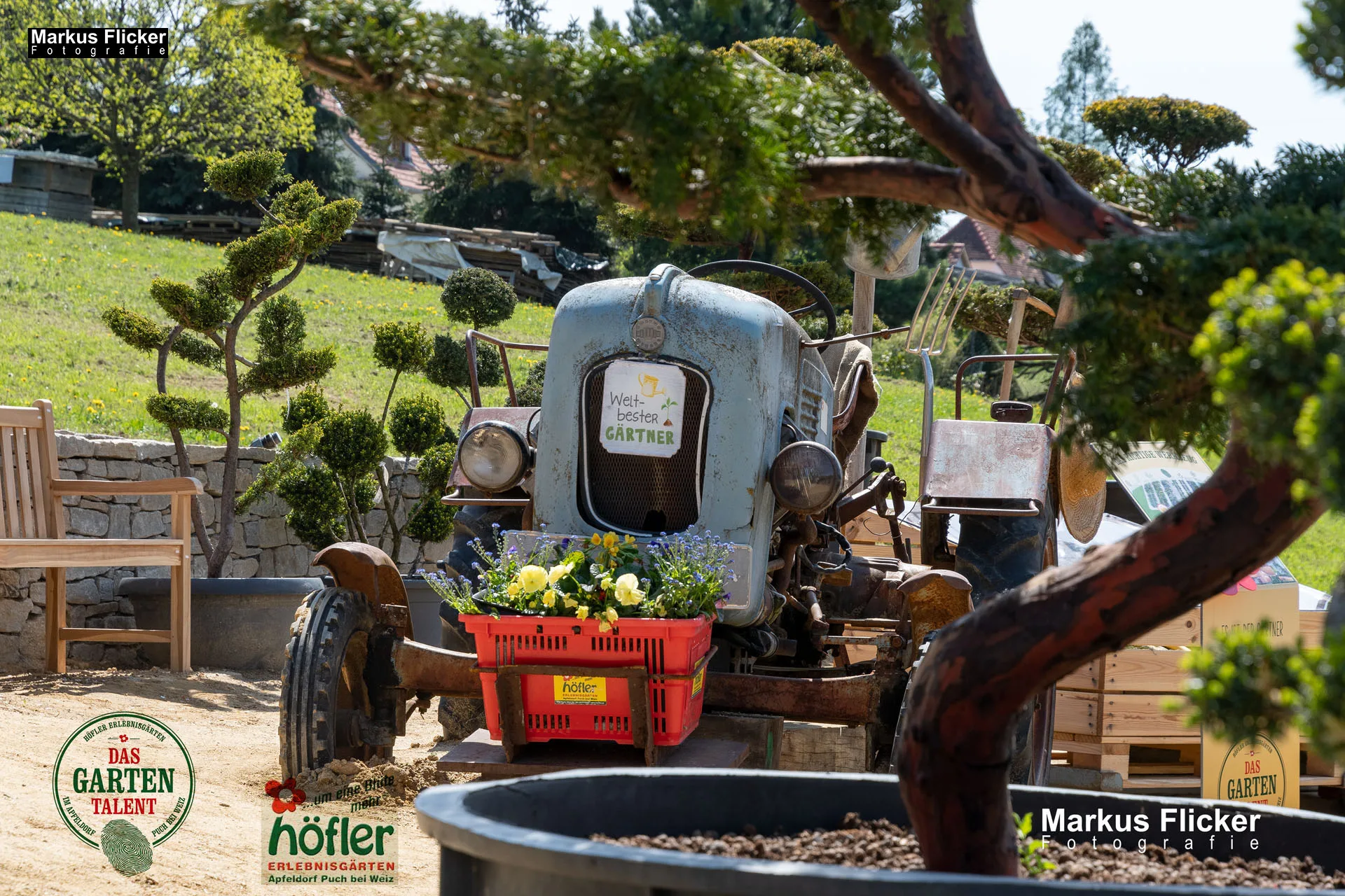 Das Gartentalent bei Gärtnerei Höfler Erlebnisgärten und entdecke Deinen Grünen Daumen Steiermark Österreich