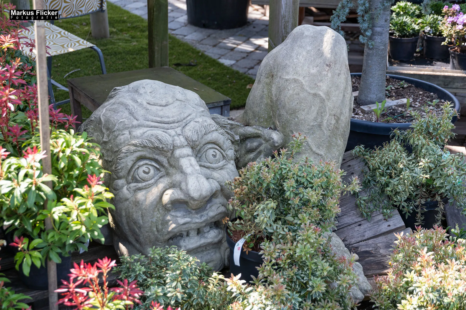 Das Gartentalent bei Höfler Erlebnisgärten