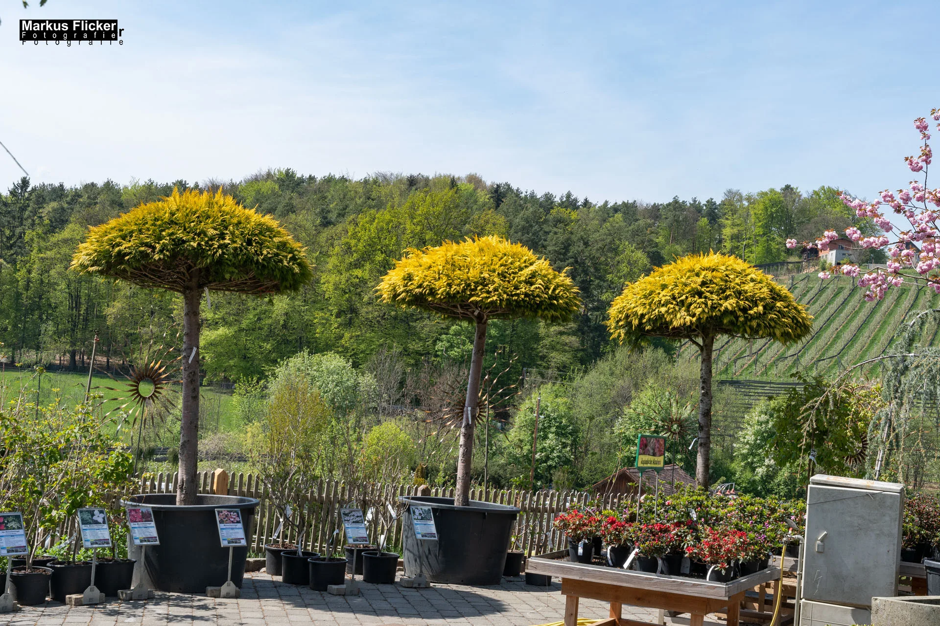 Das Gartentalent bei Höfler Erlebnisgärten