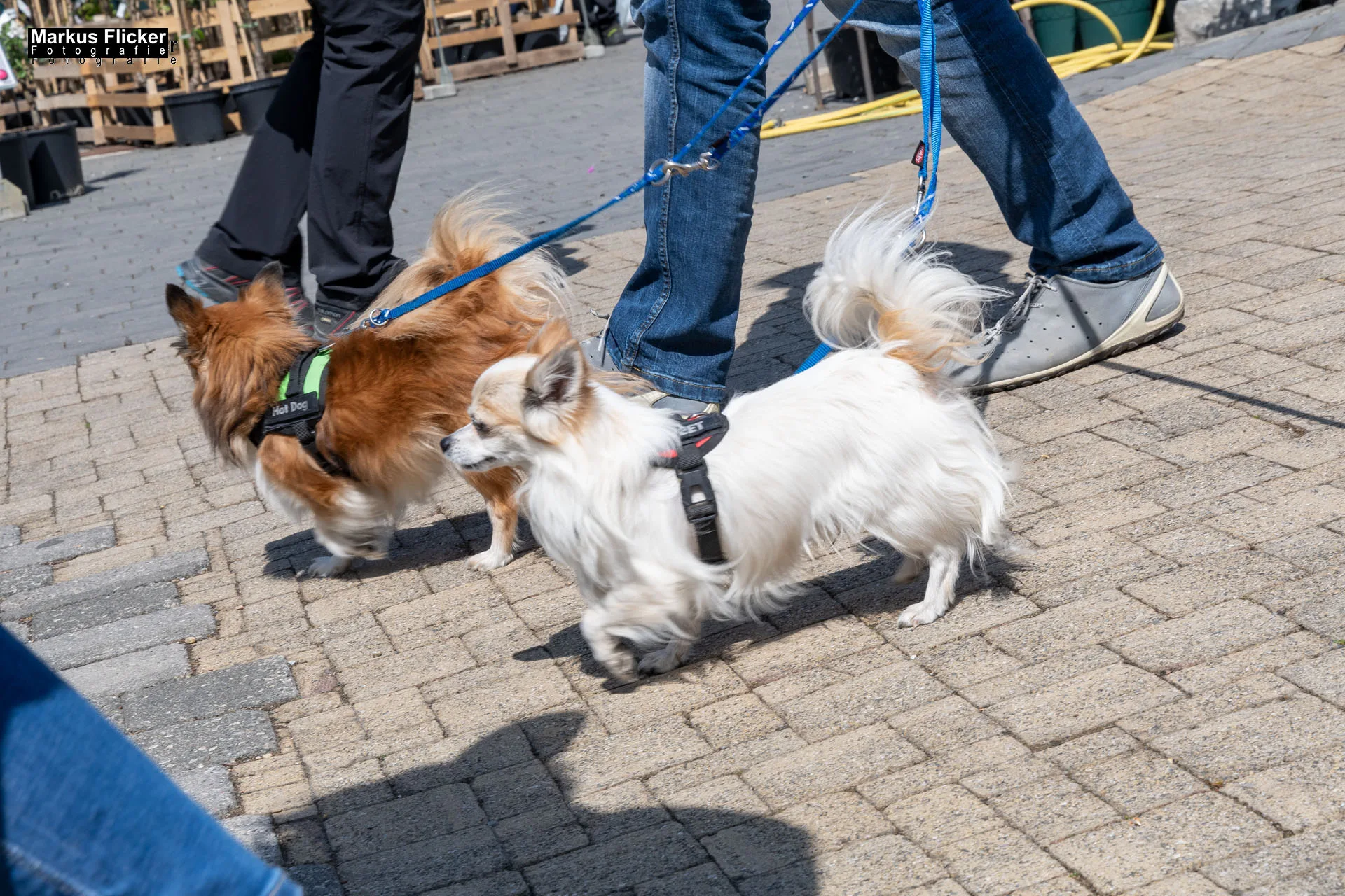 Das Gartentalent bei Höfler Erlebnisgärten
