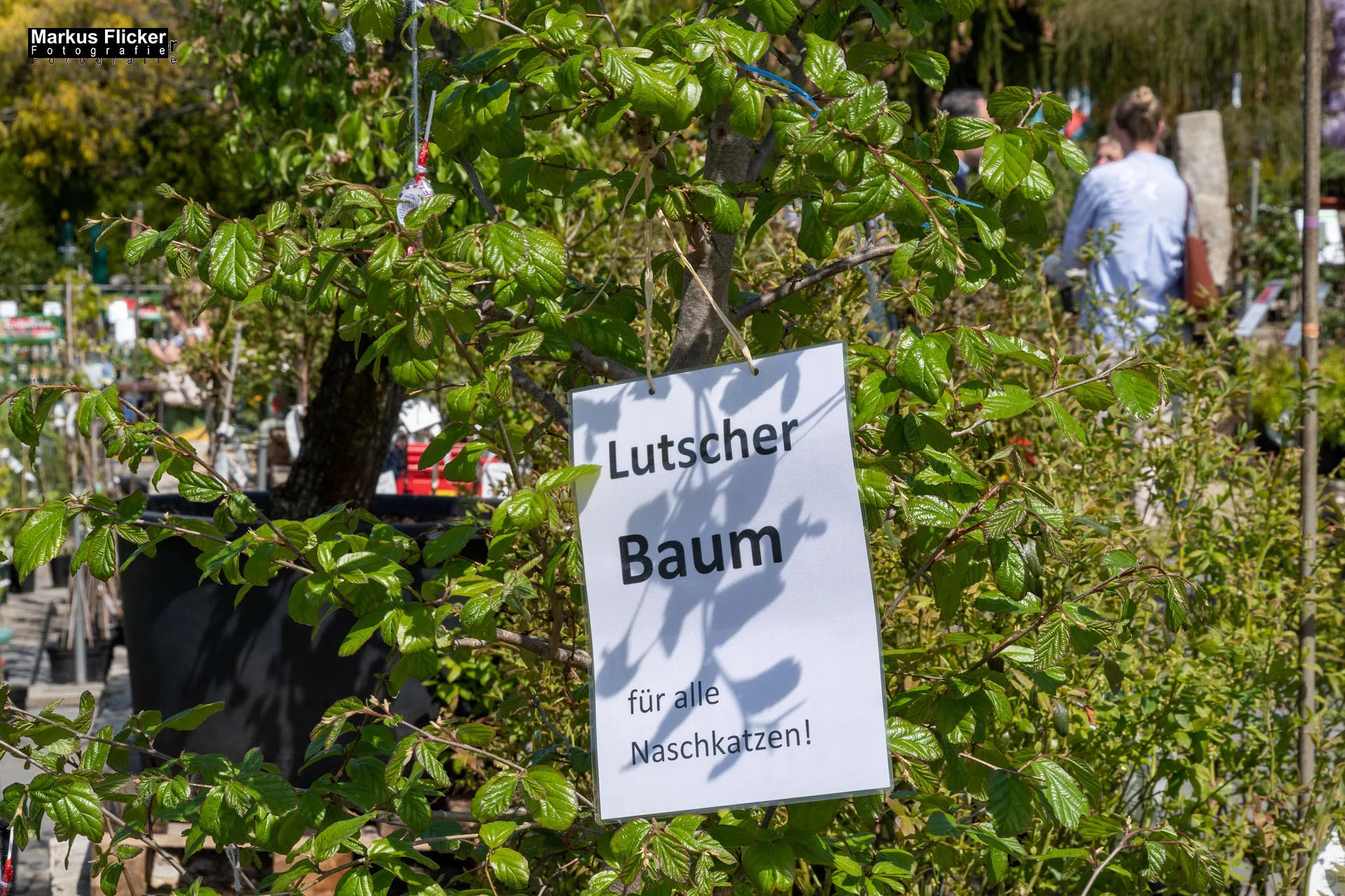 Das Gartentalent bei Höfler Erlebnisgärten
