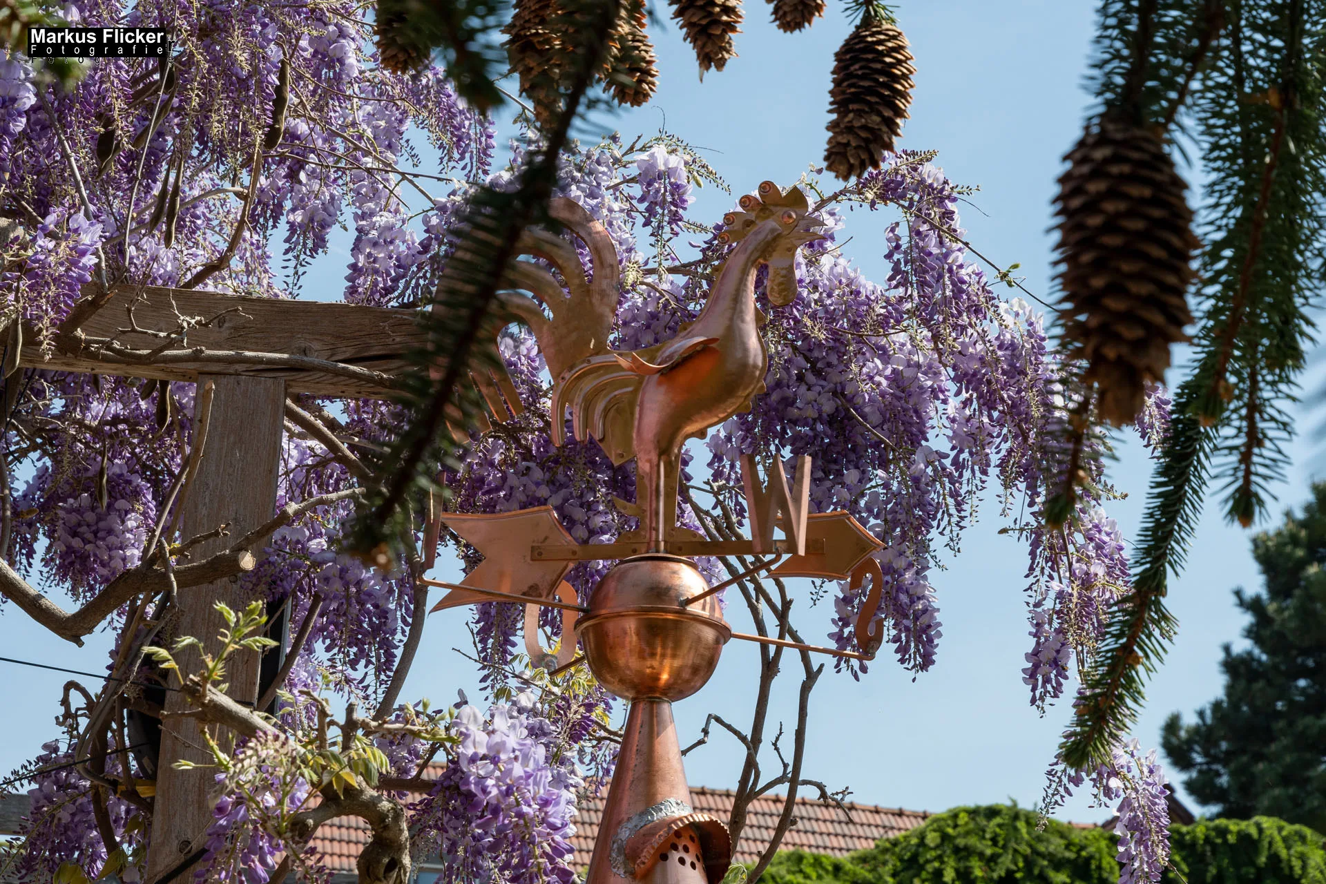 Das Gartentalent bei Höfler Erlebnisgärten