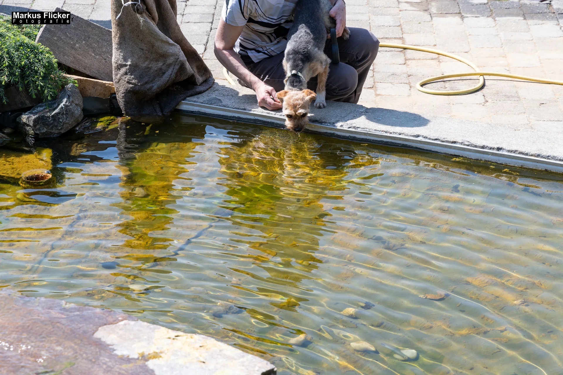 Das Gartentalent bei Gärtnerei Höfler Erlebnisgärten und entdecke Deinen Grünen Daumen Steiermark Österreich