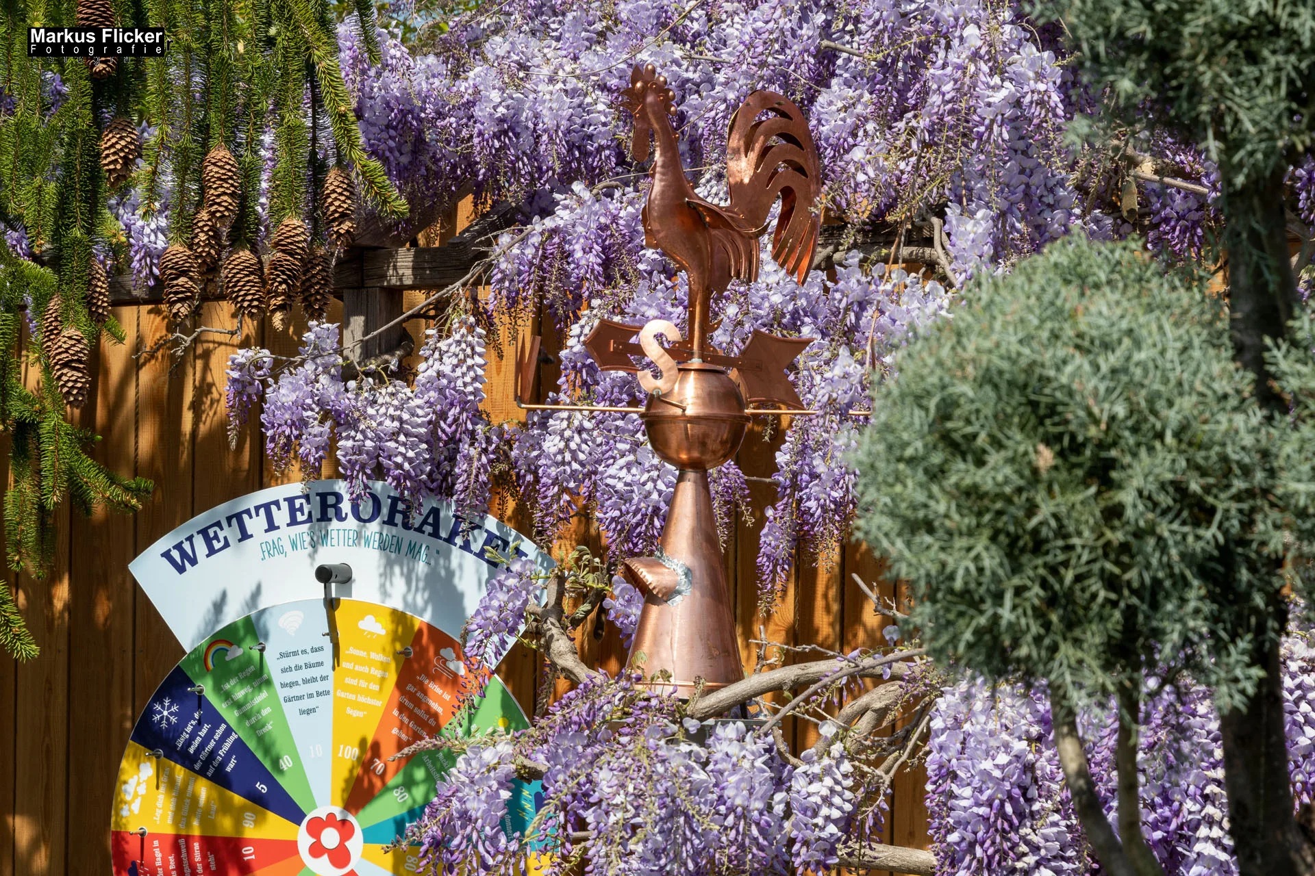 Das Gartentalent bei Höfler Erlebnisgärten