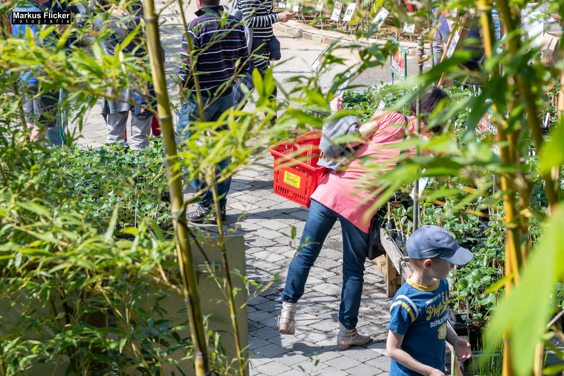Das Gartentalent bei Höfler Erlebnisgärten