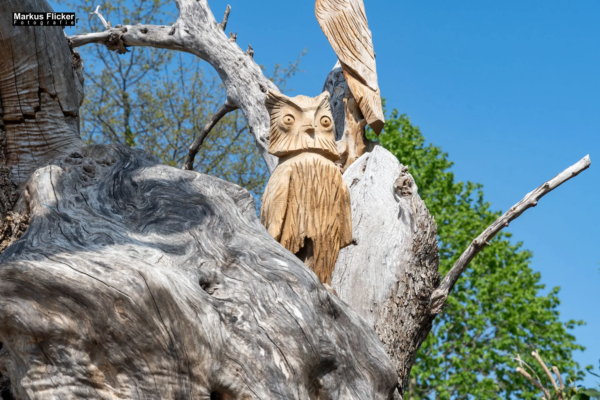Das Gartentalent bei Höfler Erlebnisgärten