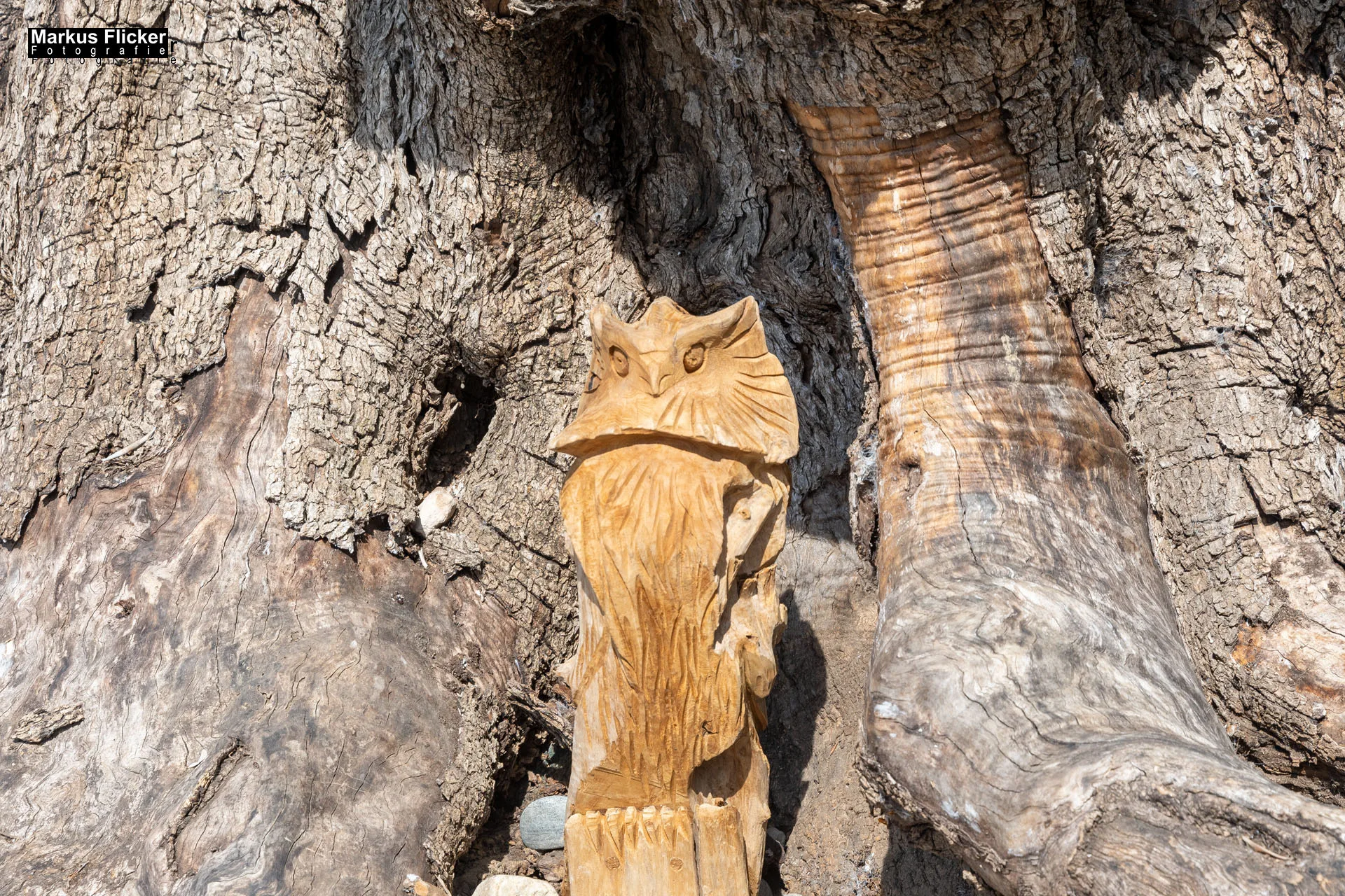 Das Gartentalent bei Höfler Erlebnisgärten