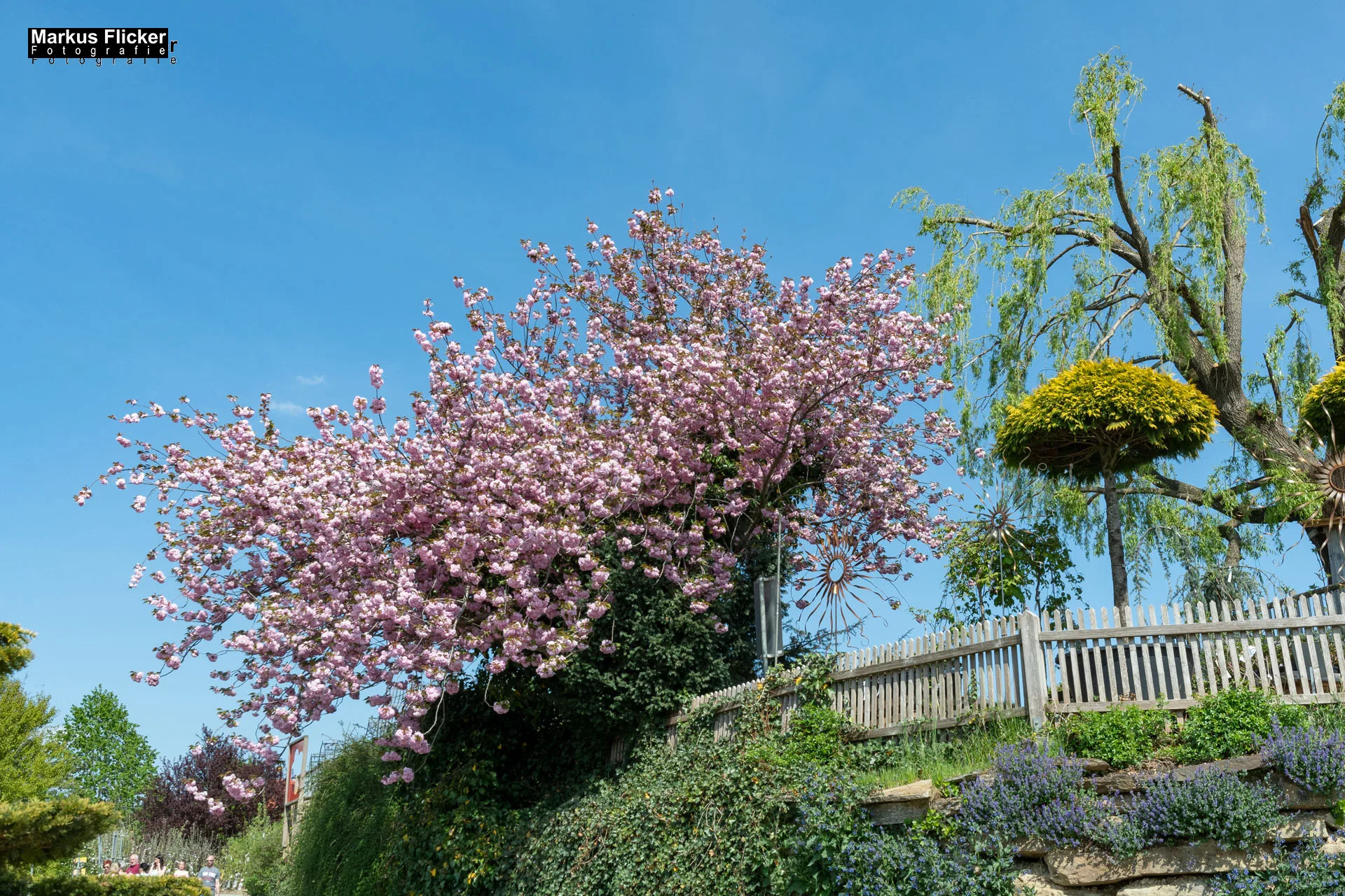 Das Gartentalent bei Höfler Erlebnisgärten