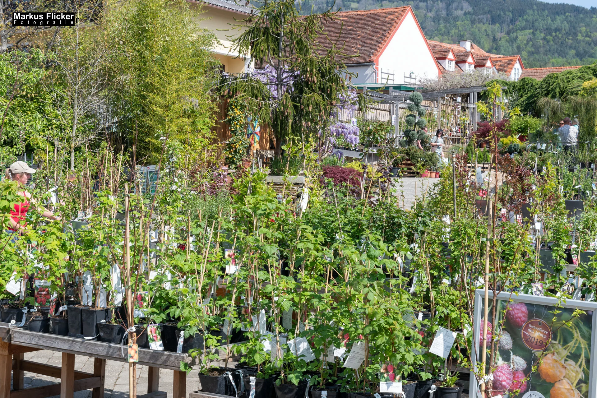 Das Gartentalent bei Höfler Erlebnisgärten