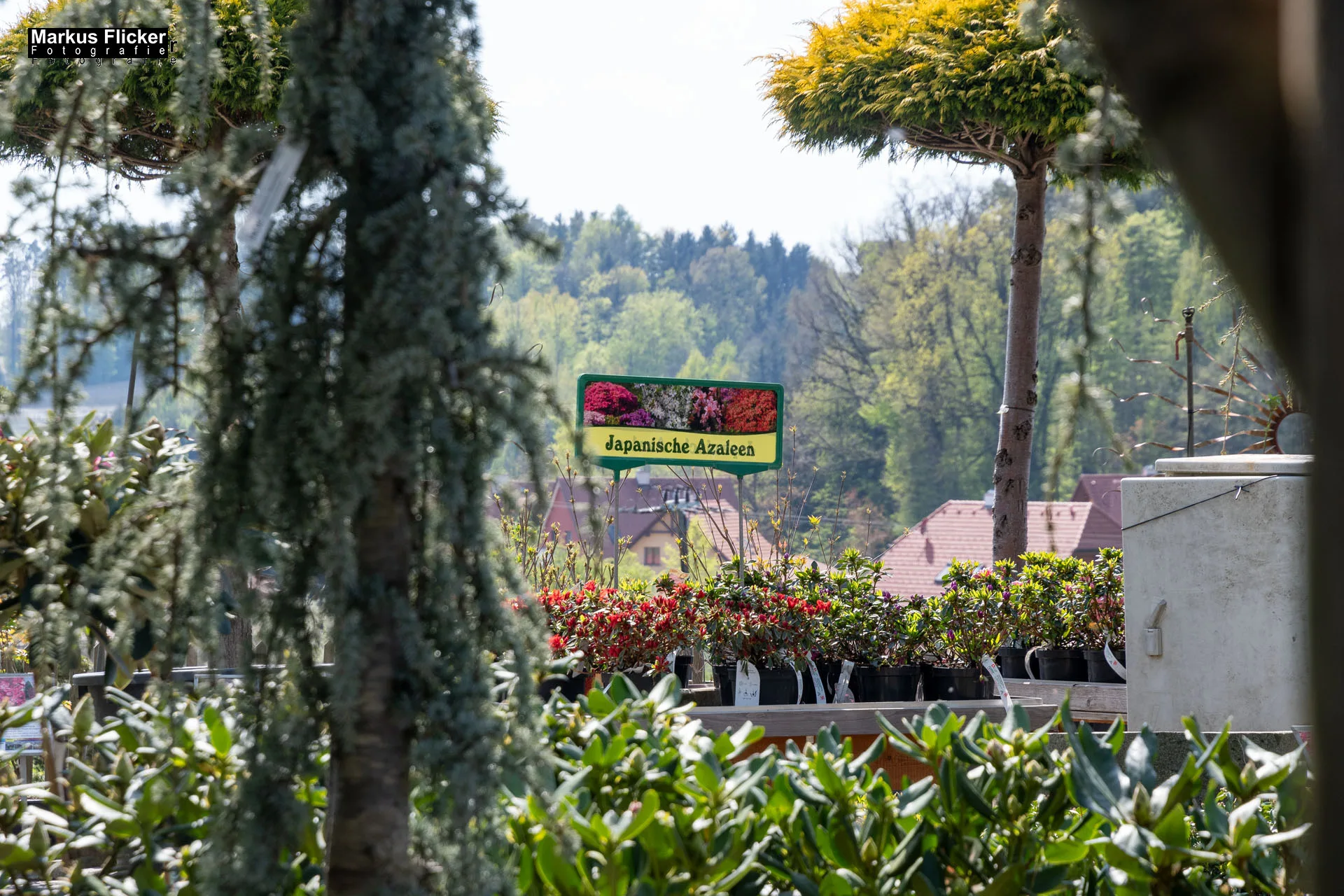 Das Gartentalent bei Höfler Erlebnisgärten