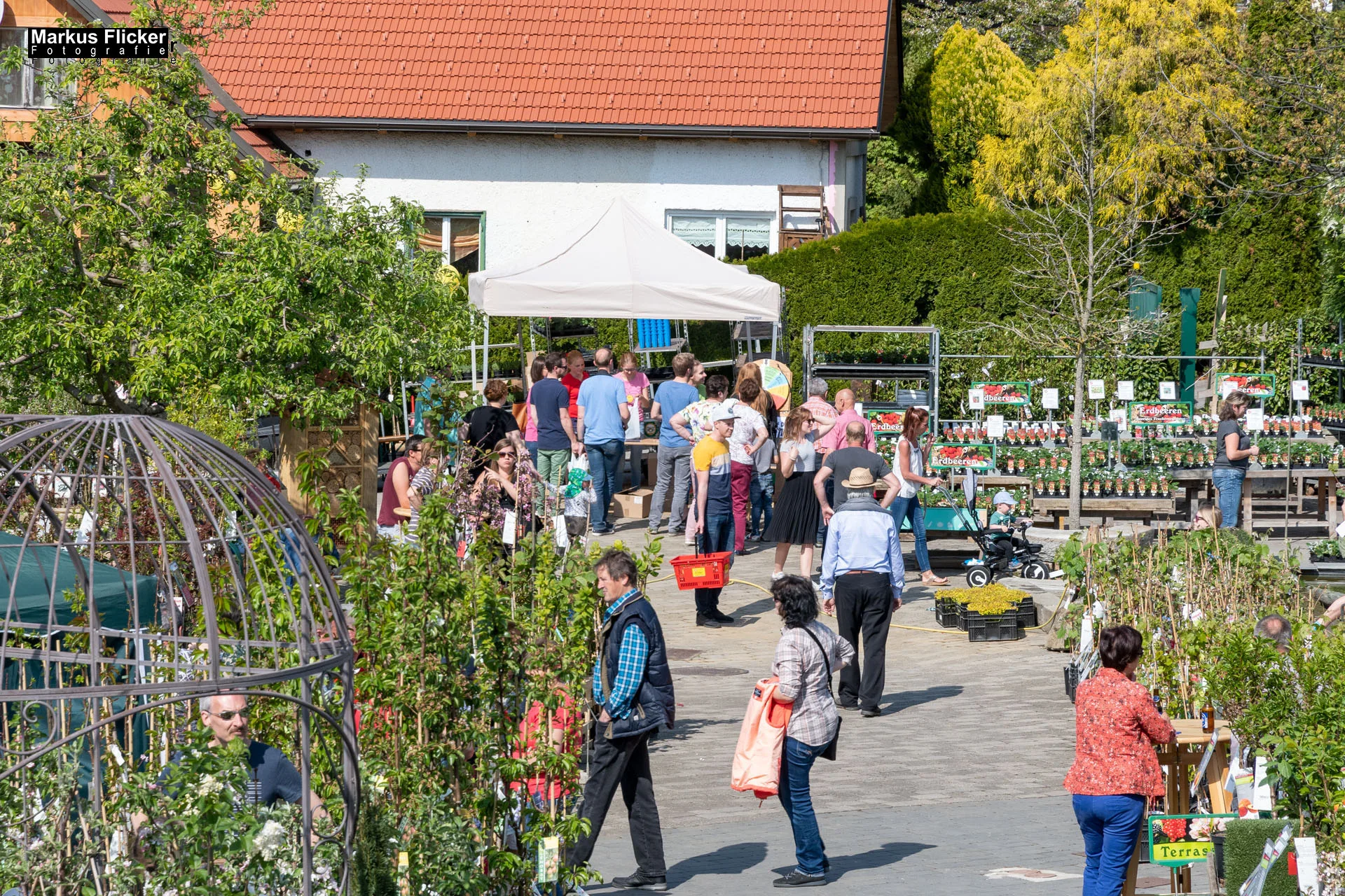 Das Gartentalent bei Gärtnerei Höfler Erlebnisgärten und entdecke Deinen Grünen Daumen Steiermark Österreich