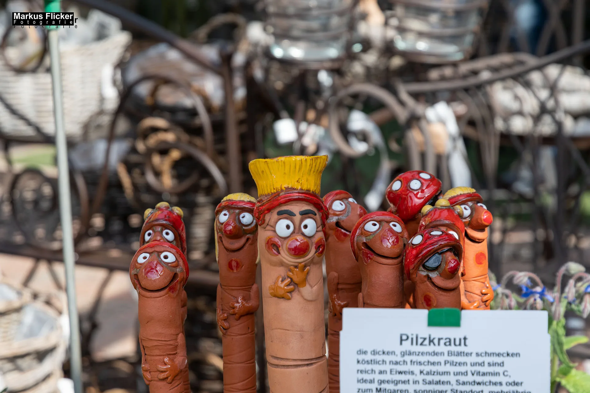 Das Gartentalent bei Gärtnerei Höfler Erlebnisgärten und entdecke Deinen Grünen Daumen Steiermark Österreich