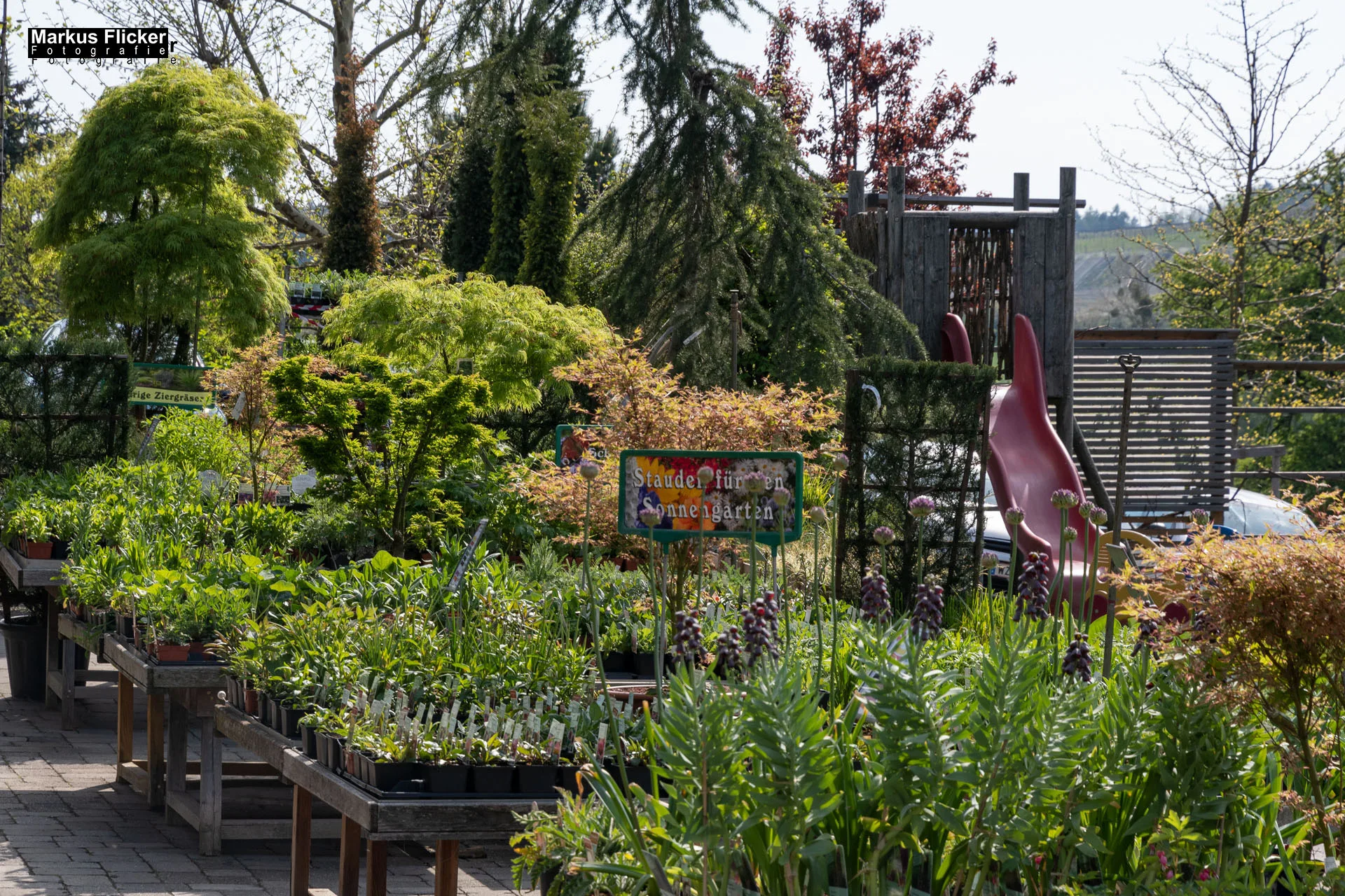 Das Gartentalent bei Höfler Erlebnisgärten