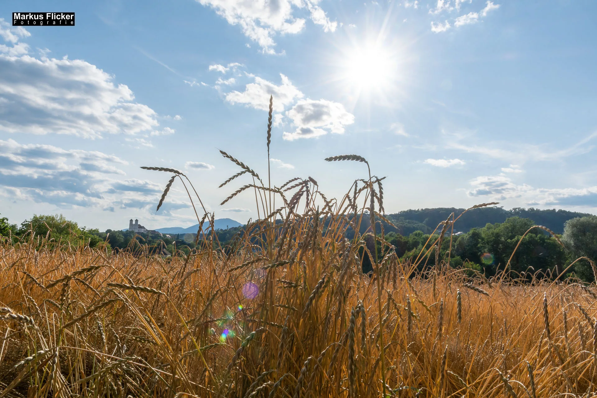 Werbefotos Bio-Bergbauernhof Heinz und Hofladen Steiermark