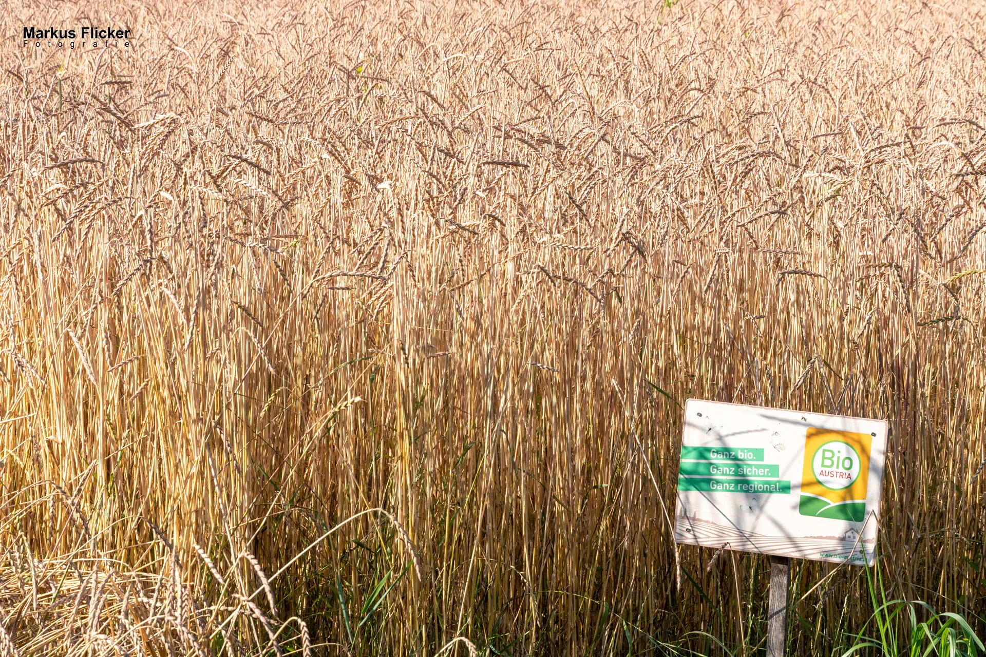 Werbefotos Bio-Bergbauernhof Heinz