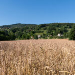 Werbefotos Bio-Bergbauernhof Heinz