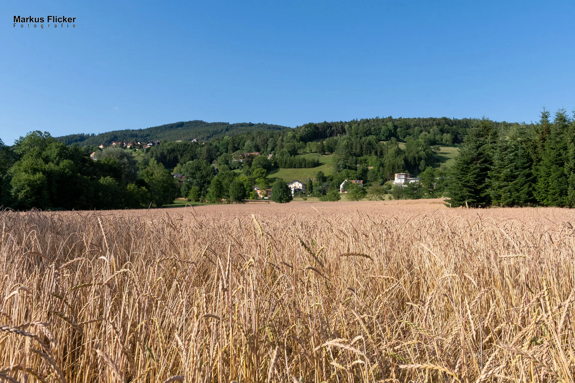 Werbefotos Bio-Bergbauernhof Heinz