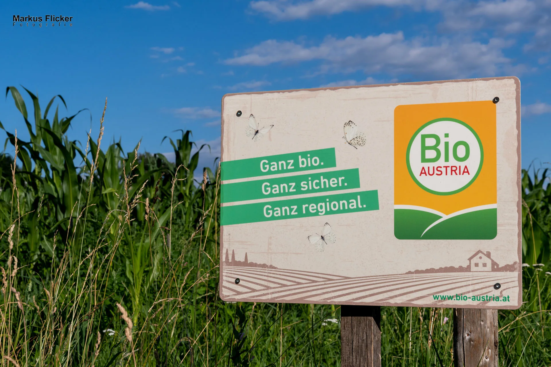 Werbefotos Bio-Bergbauernhof Heinz