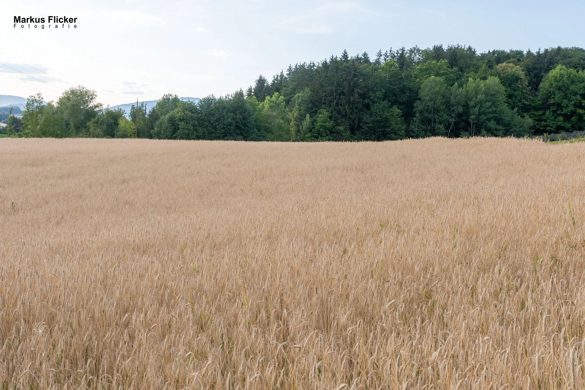 Werbefotos Bio-Bergbauernhof Heinz