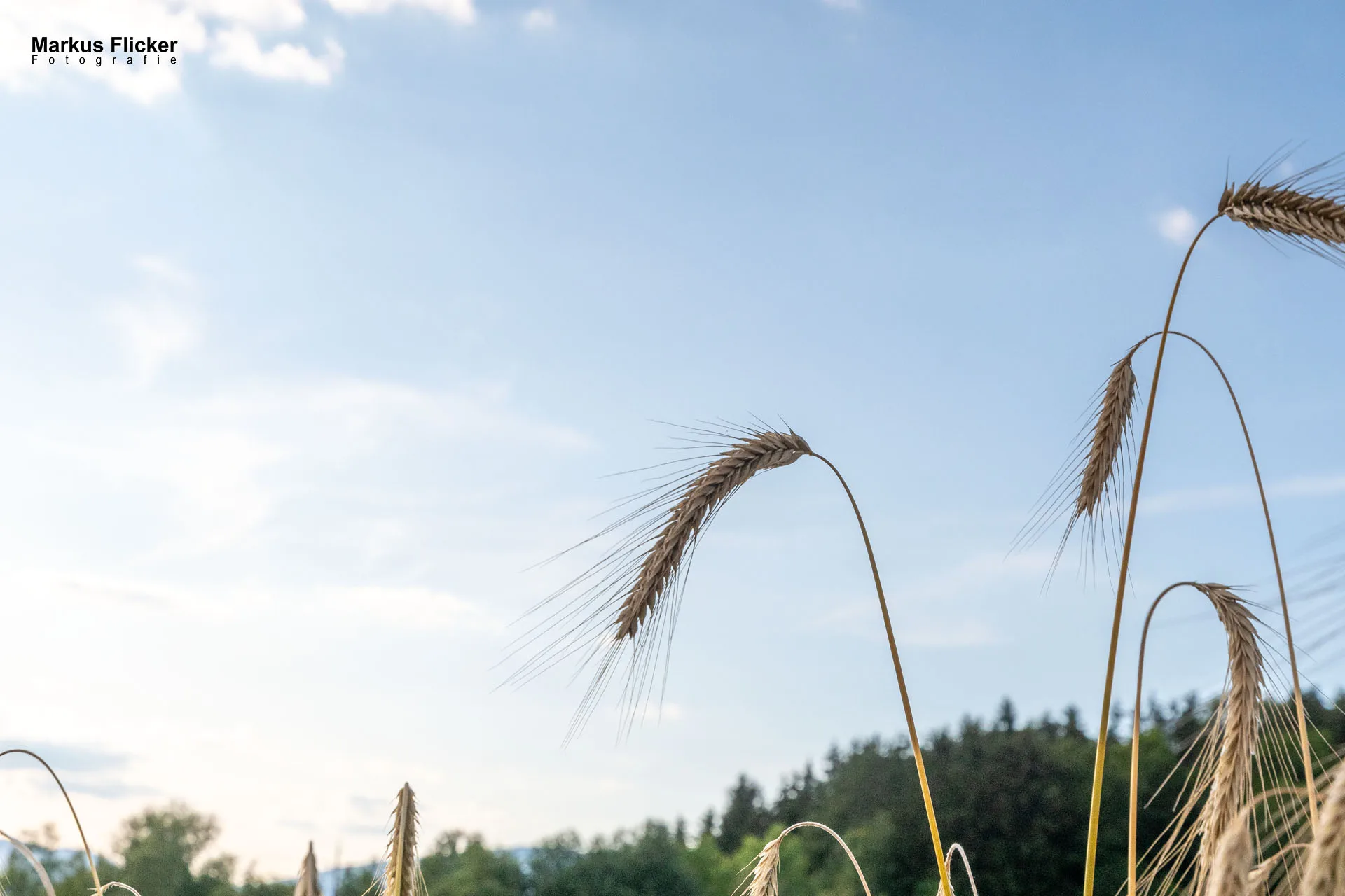 Werbefotos Bio-Bergbauernhof Heinz