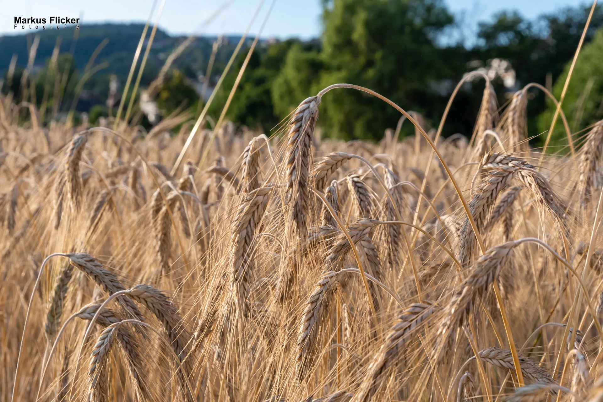 Werbefotos Bio-Bergbauernhof Heinz und Hofladen Steiermark