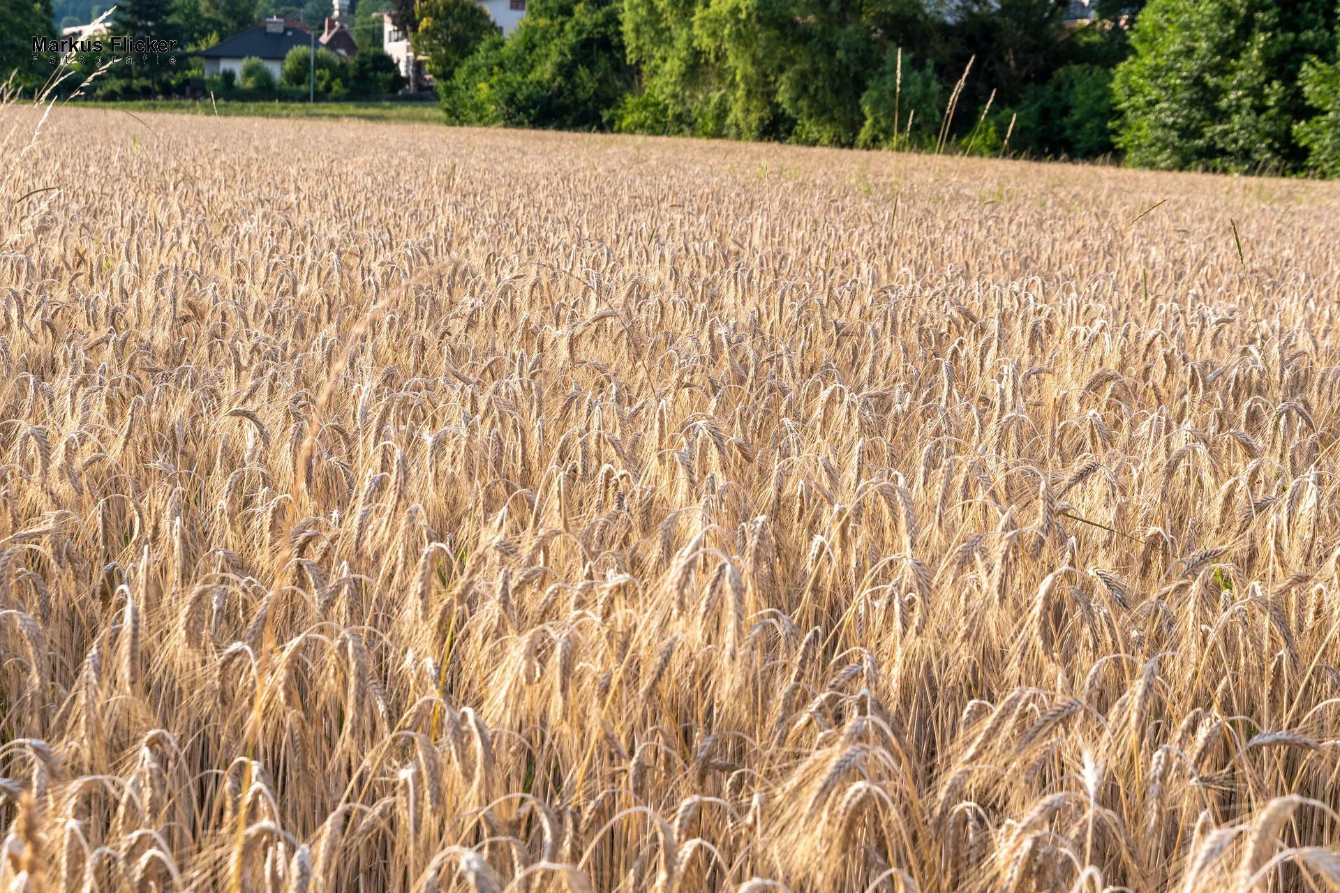 Werbefotos Bio-Bergbauernhof Heinz und Hofladen Steiermark