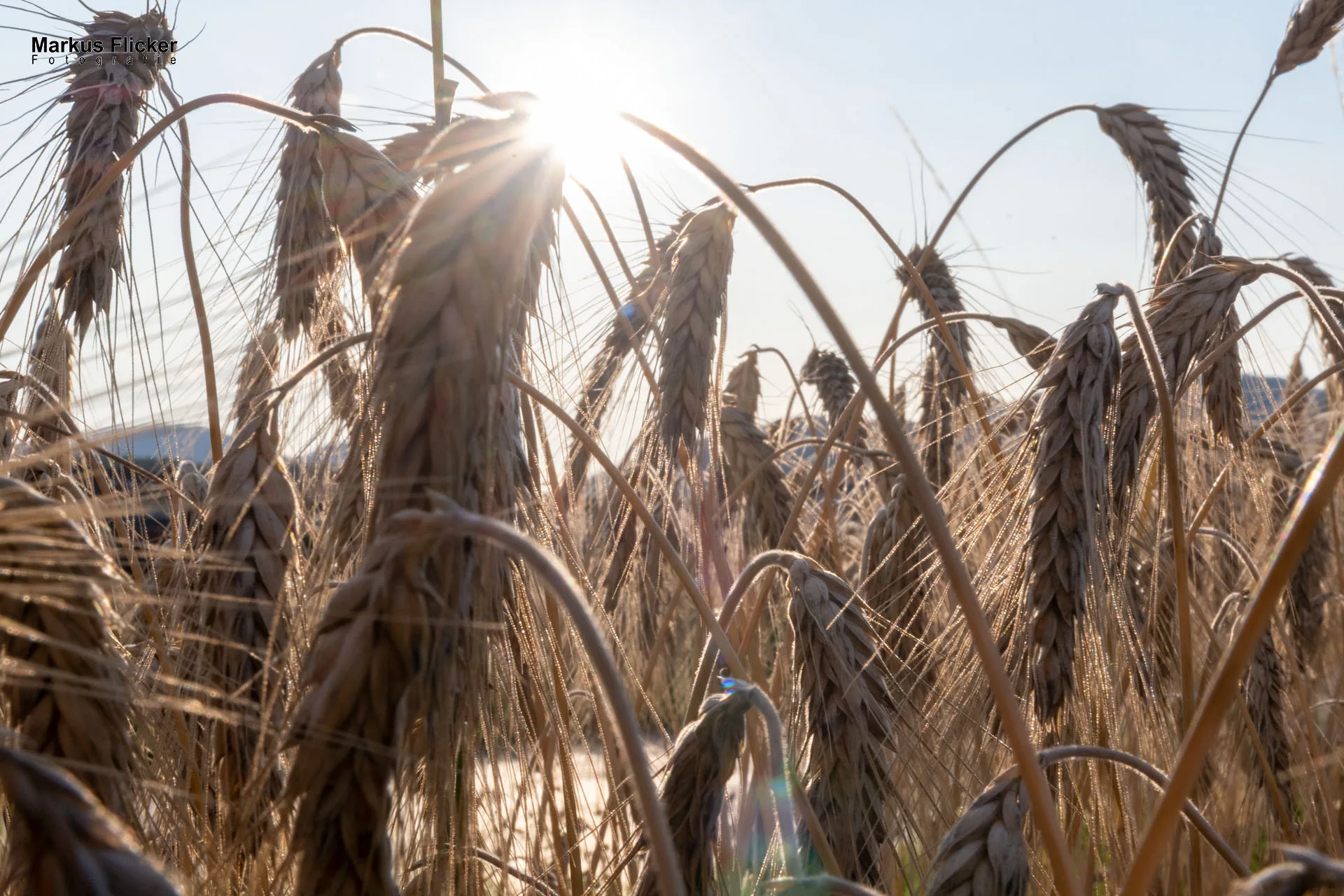 Werbefotos Bio-Bergbauernhof Heinz und Hofladen Steiermark