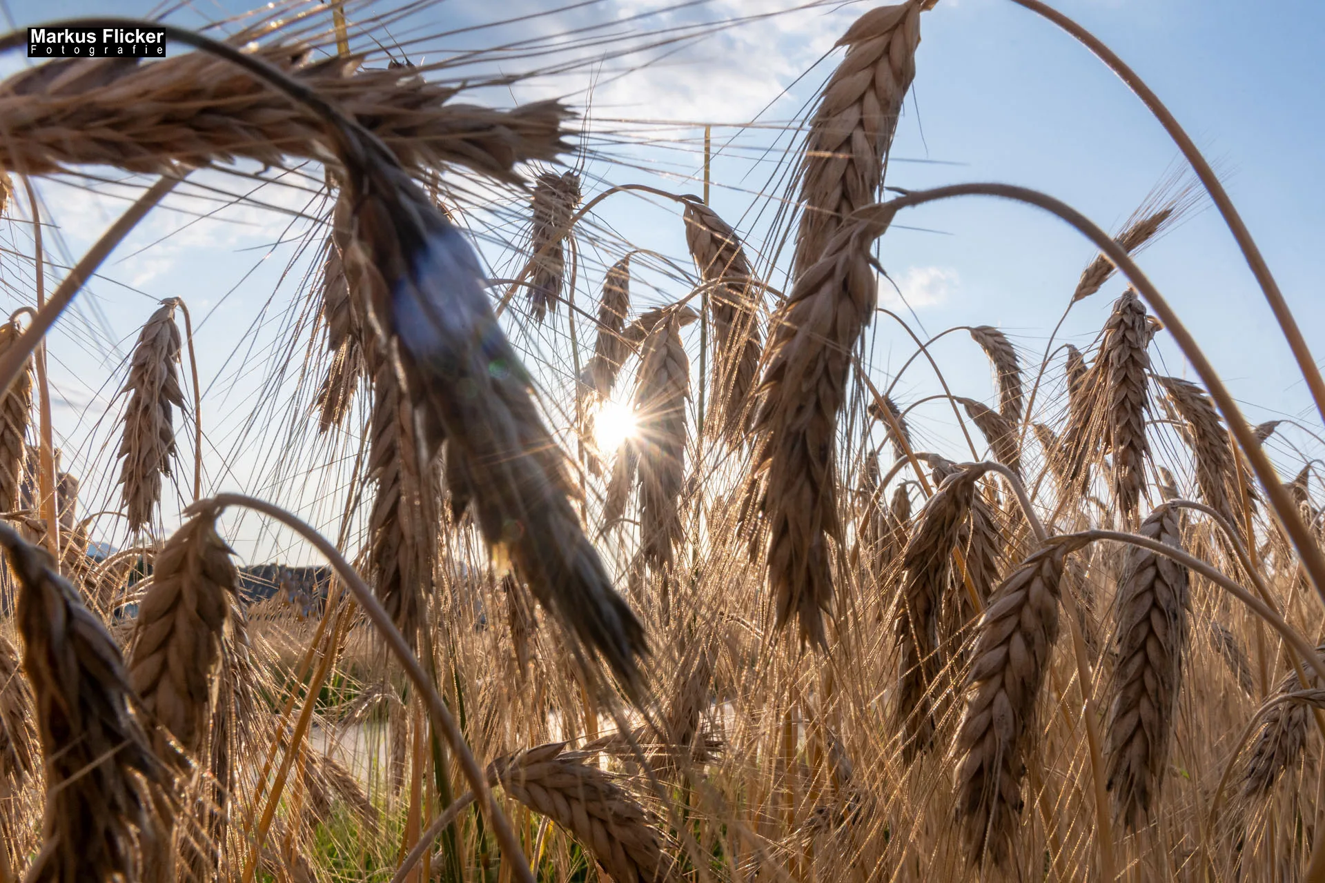 Werbefotos Bio-Bergbauernhof Heinz und Hofladen Steiermark