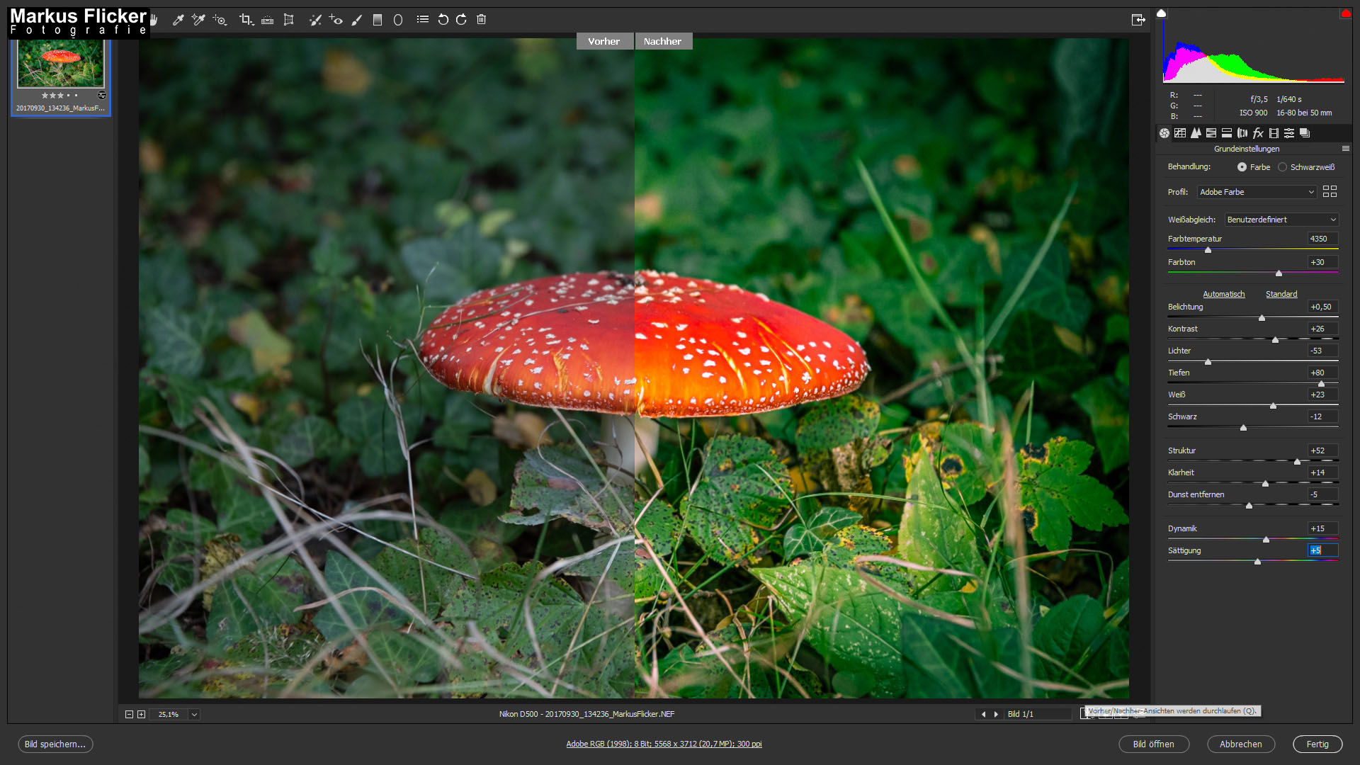 Der Fliegenpilz (Amanita muscaria) Adobe Photoshop Camera RAW Vorher Nacher Bildbearbeitung
