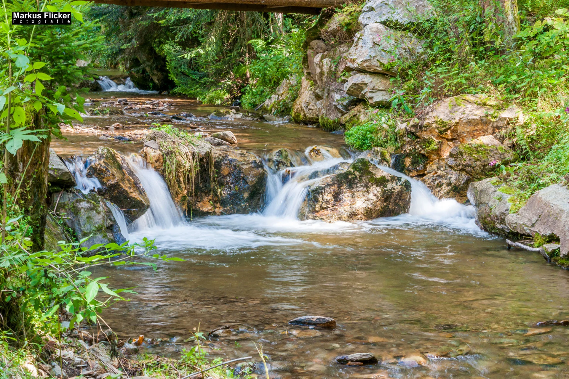 Wellness-Pension Florianihof in Miesenbach Steiermark