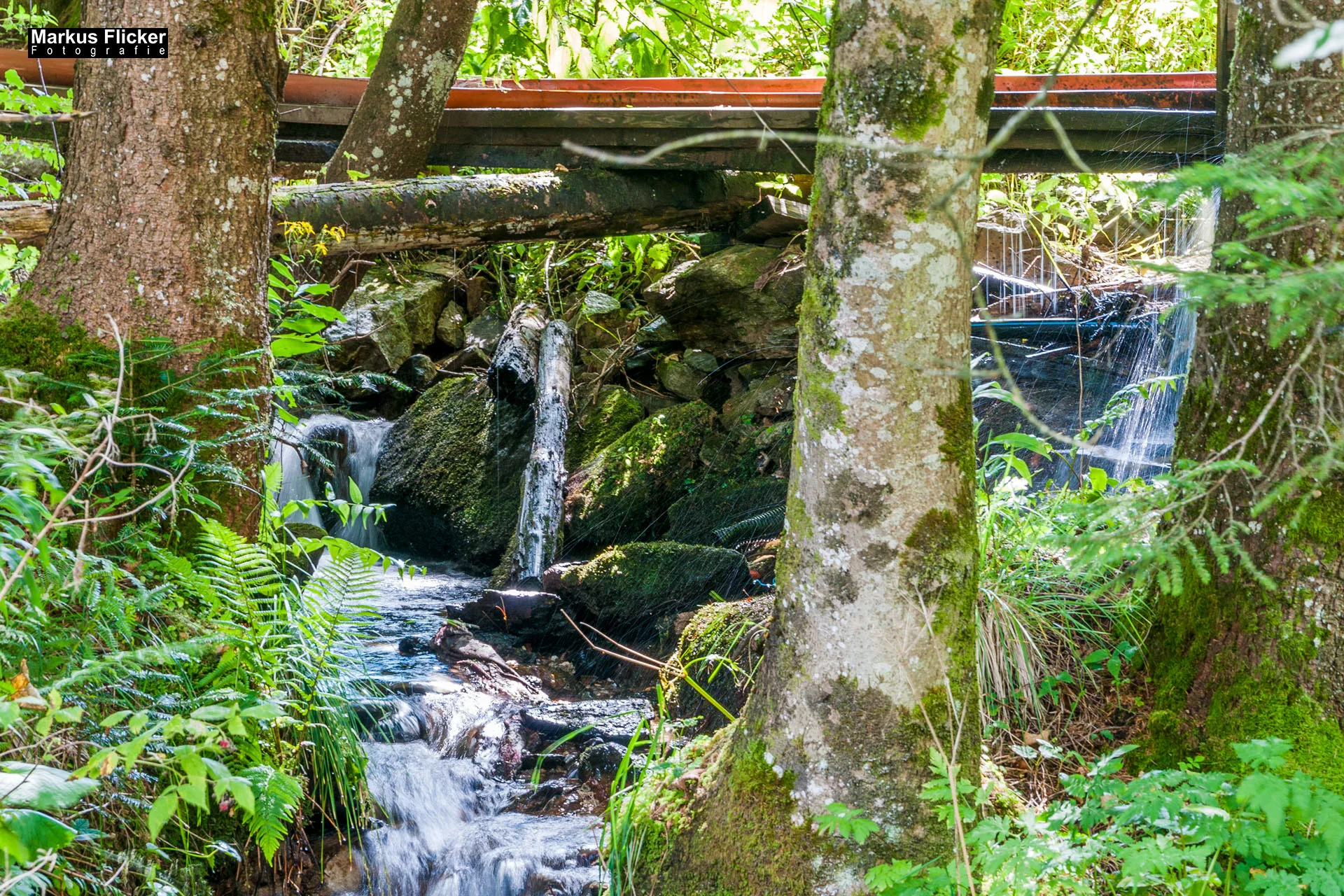 Wellness-Pension Florianihof in Miesenbach Steiermark