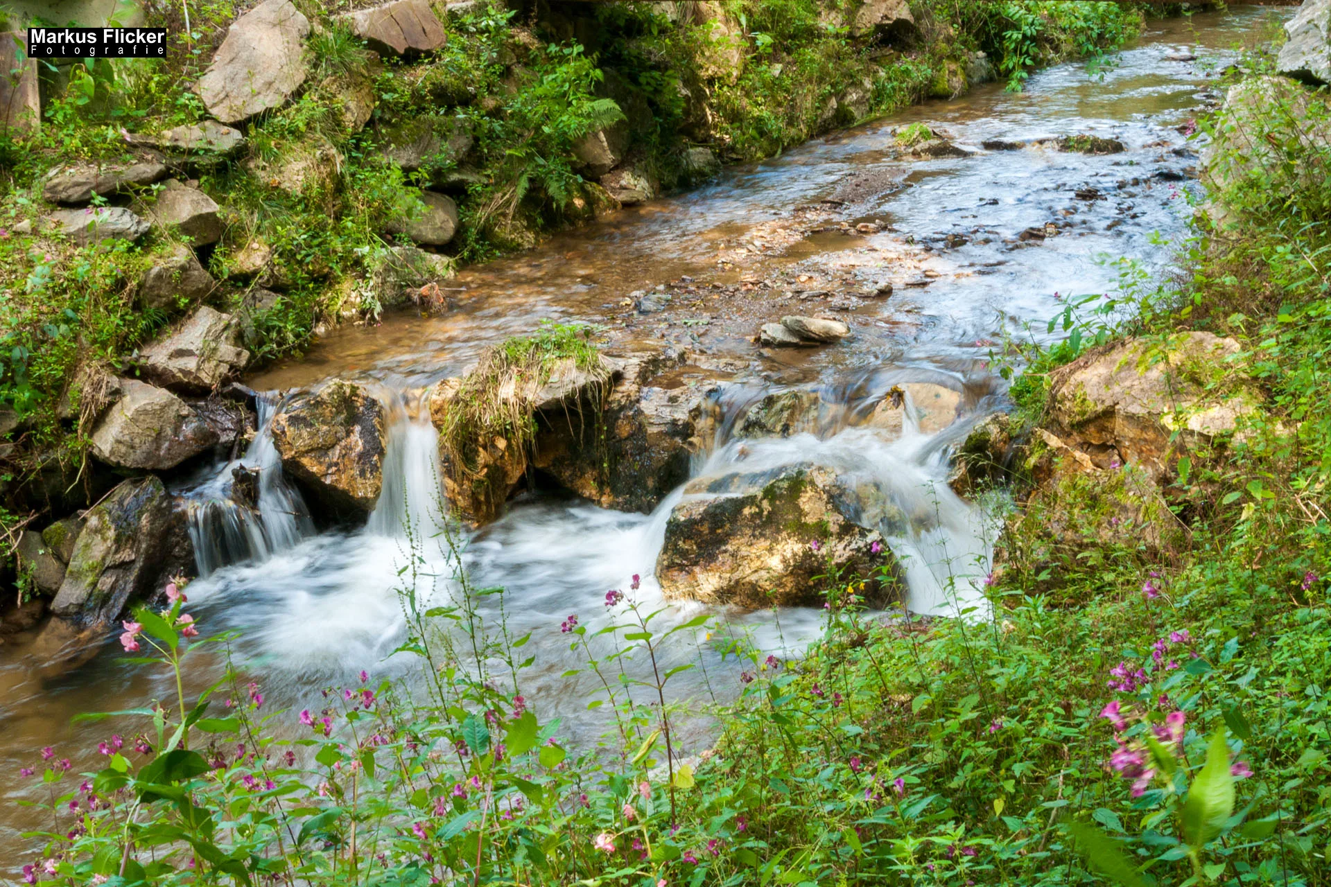 Wellness-Pension Florianihof in Miesenbach Steiermark