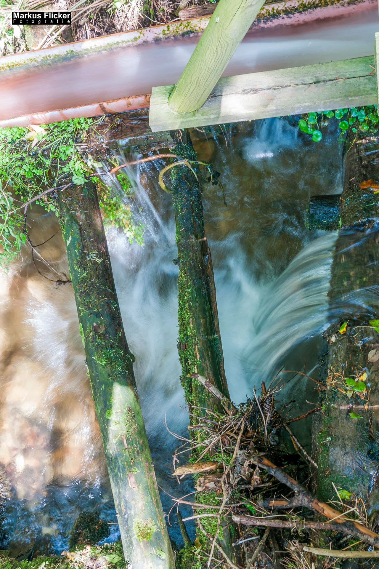 Wellness-Pension Florianihof in Miesenbach Steiermark