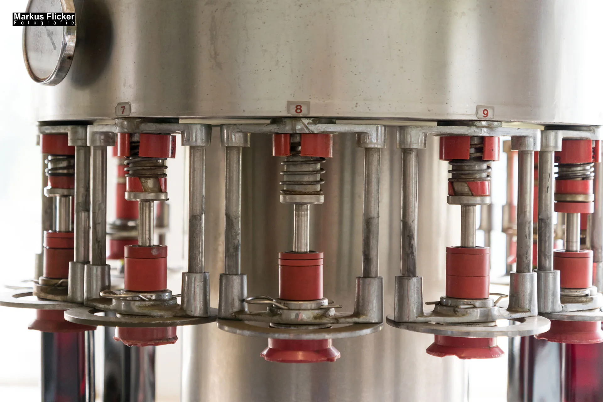 Essigkultur Pölzer Spezialitäten