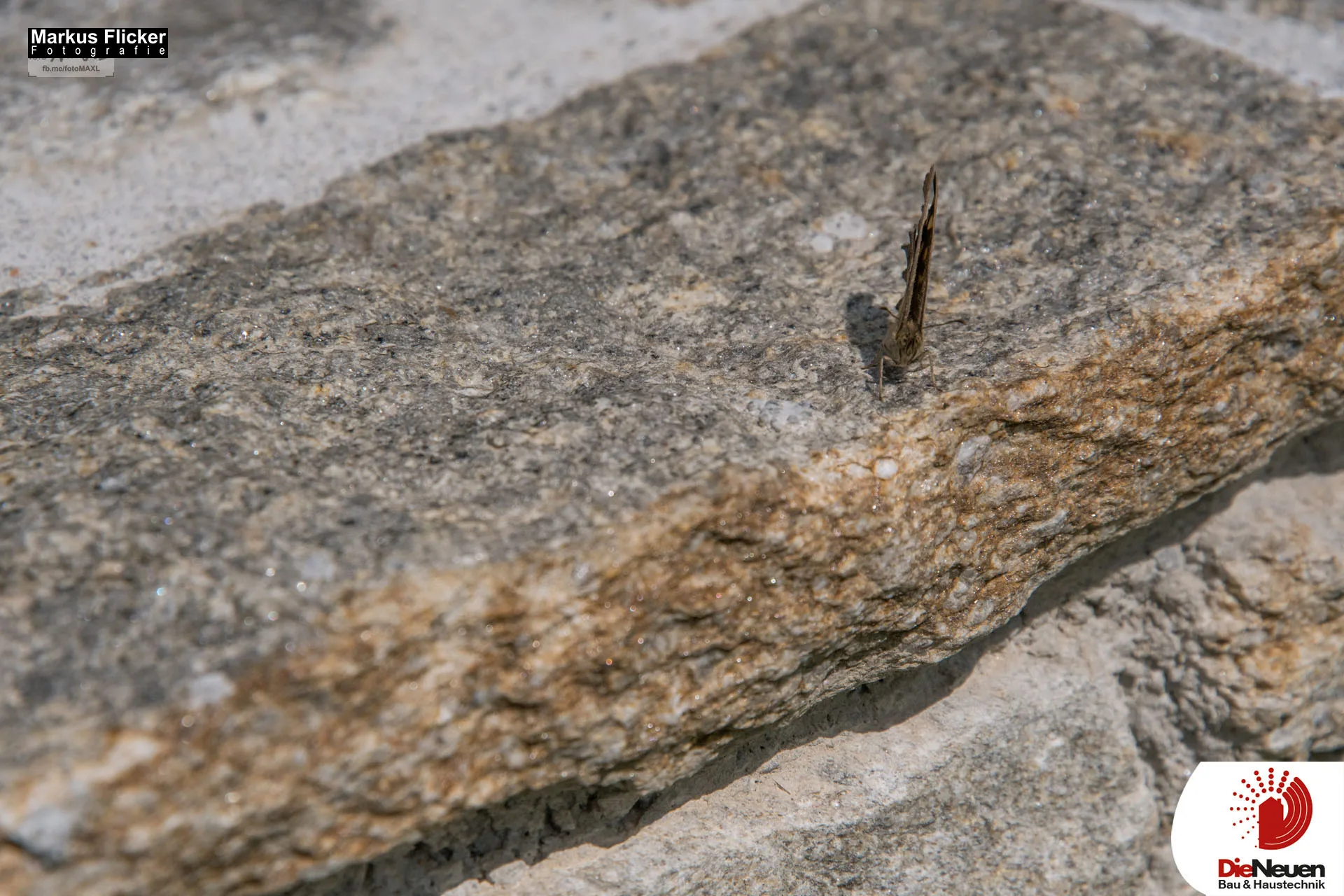 DieNeuen Bau & Haustechnik Neubau und Sanierung Werbefotos Referenzfotos Baufirma