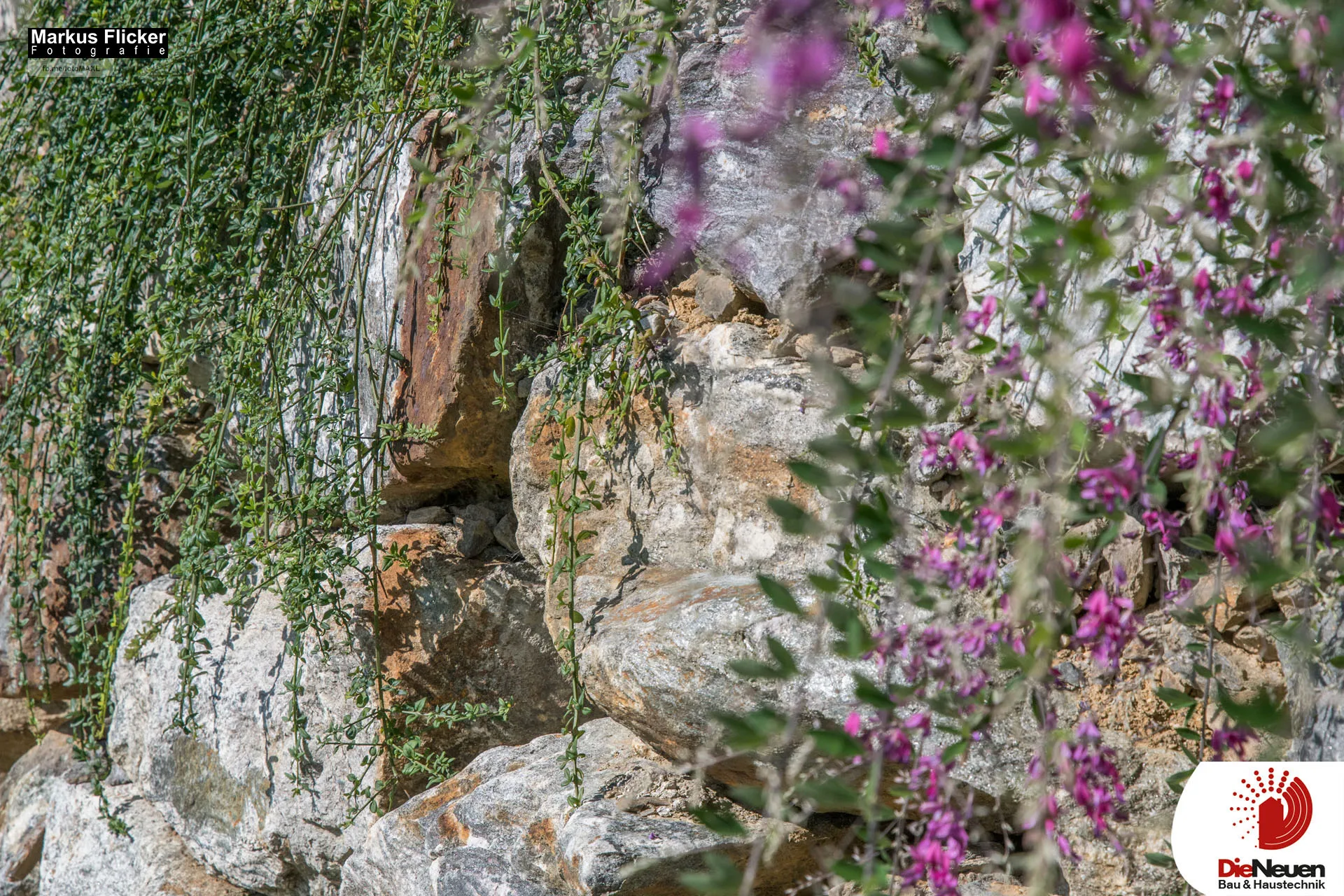 DieNeuen Bau & Haustechnik Neubau und Sanierung Werbefotos Referenzfotos Baufirma