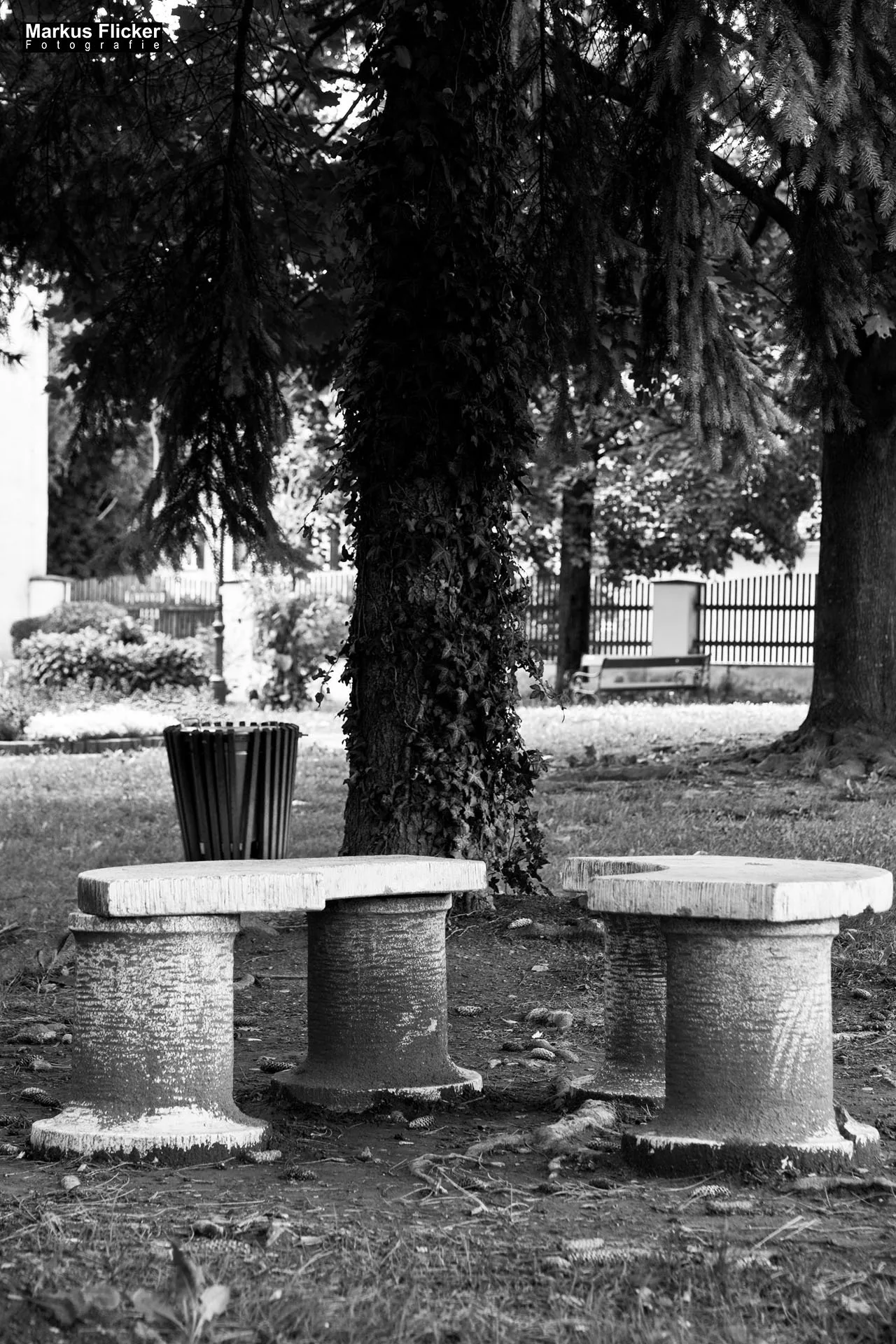 Fotoprojekt 365 Tage Streetphotography mit dem Smartphone. Fotografieren und Filmen mit dem Smartphone: Bessere Fotos und Videos mit dem Handy für Freizeit, Hobby und Business