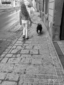 Mehr über den Artikel erfahren Informationen für Models // Fotoshooting Vorbereitung / TFP / PAY / Modelvertrag Vorlage