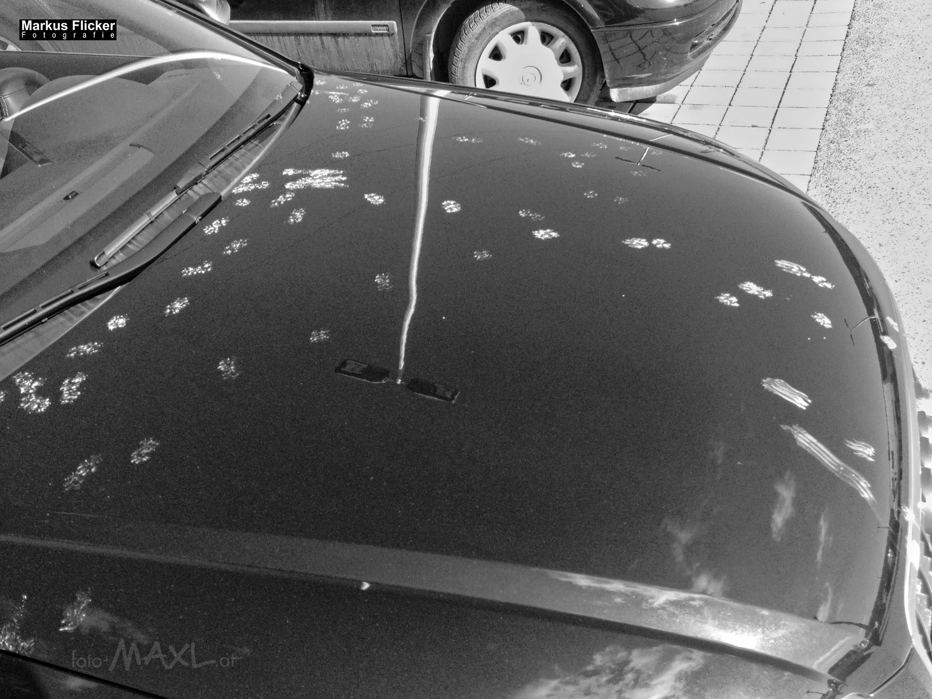 Fotoprojekt 365 Tage Streetphotography mit dem Smartphone. Fotografieren und Filmen mit dem Smartphone: Bessere Fotos und Videos mit dem Handy für Freizeit, Hobby und Business