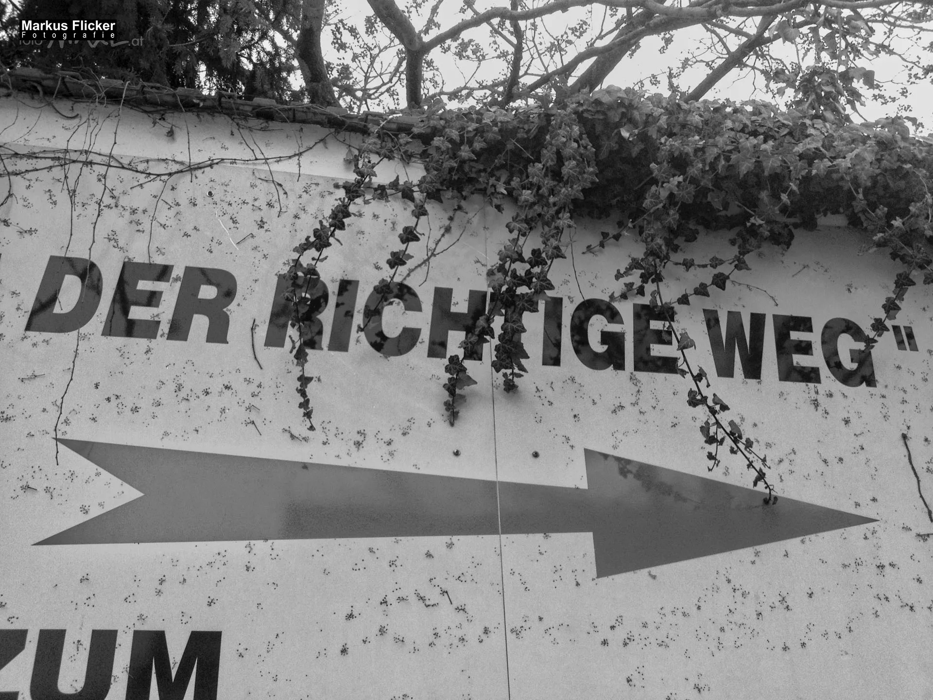 Fotoprojekt 365 Tage Streetphotography mit dem Smartphone. Fotografieren und Filmen mit dem Smartphone: Bessere Fotos und Videos mit dem Handy für Freizeit, Hobby und Business