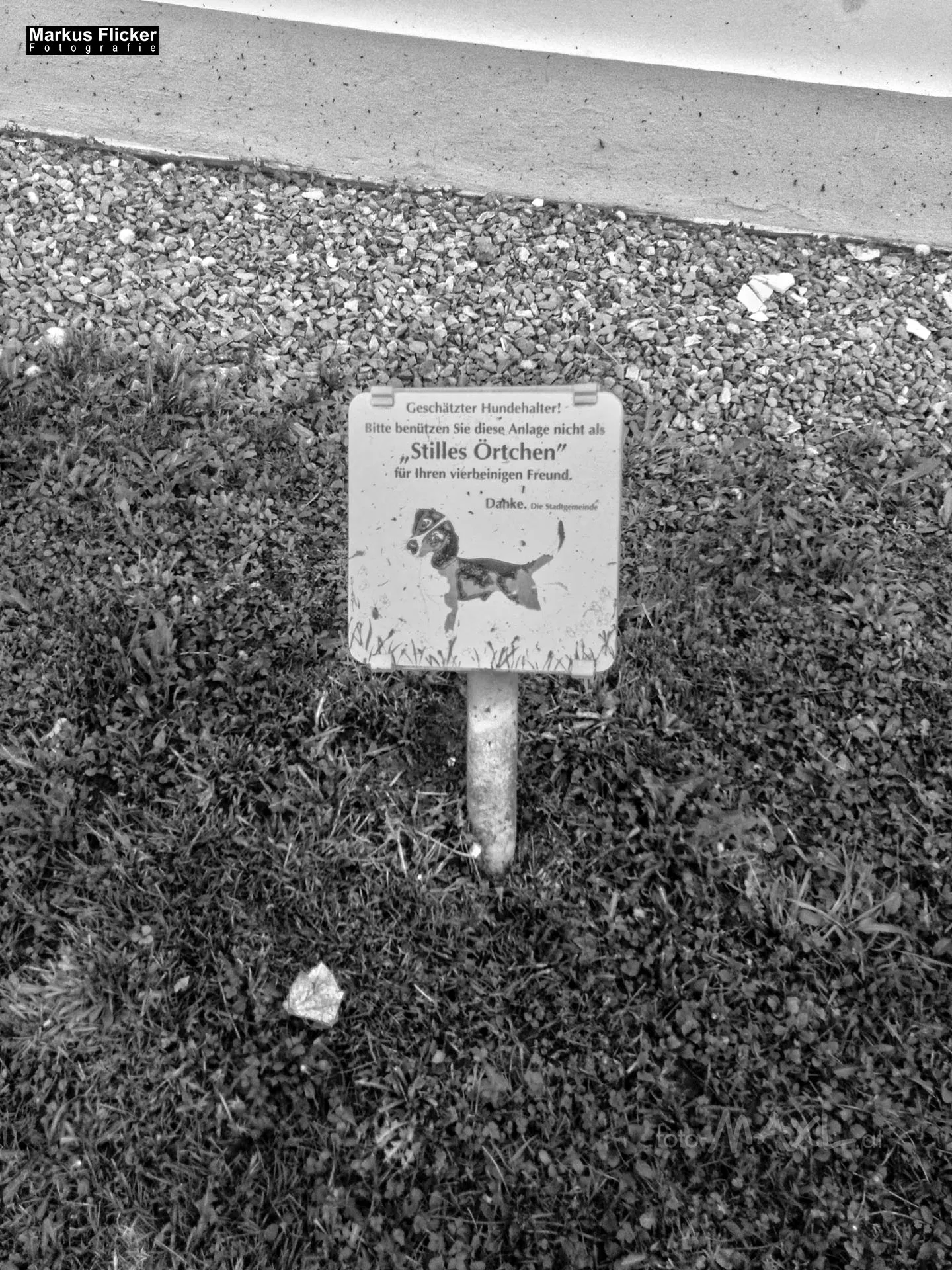 Fotoprojekt 365 Tage Streetphotography mit dem Smartphone. Fotografieren und Filmen mit dem Smartphone: Bessere Fotos und Videos mit dem Handy für Freizeit, Hobby und Business