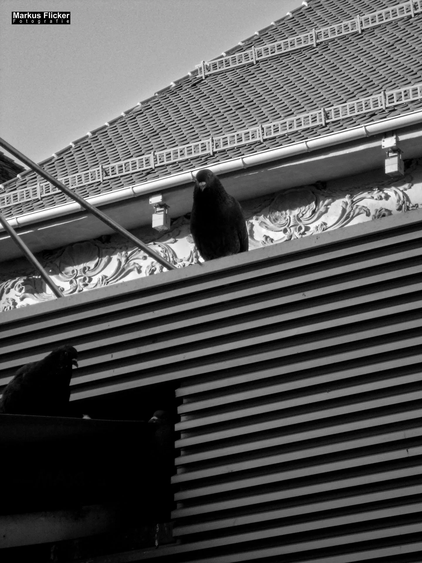 Fotoprojekt 365 Tage Streetphotography mit dem Smartphone. Fotografieren und Filmen mit dem Smartphone: Bessere Fotos und Videos mit dem Handy für Freizeit, Hobby und Business