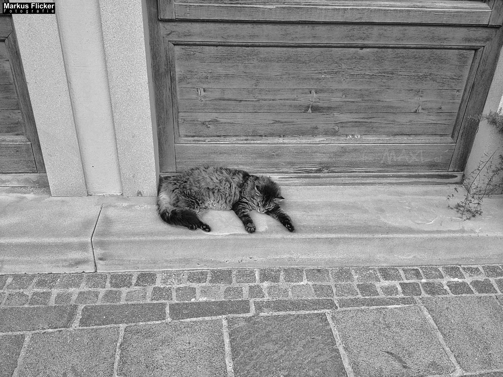 Fotoprojekt 365 Tage Streetphotography mit dem Smartphone. Fotografieren und Filmen mit dem Smartphone: Bessere Fotos und Videos mit dem Handy für Freizeit, Hobby und Business