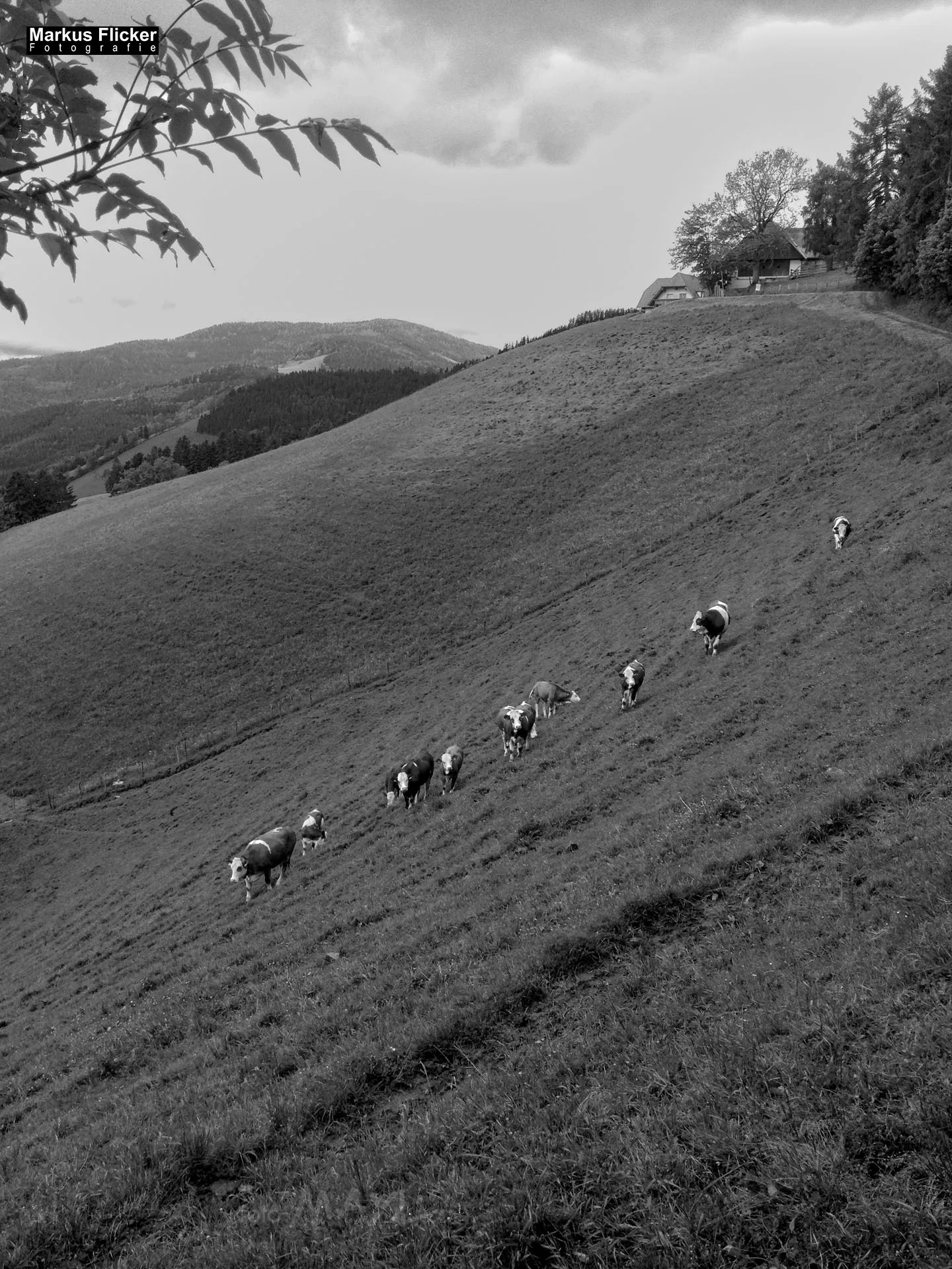 Fotoprojekt 365 Tage Streetphotography mit dem Smartphone. Fotografieren und Filmen mit dem Smartphone: Bessere Fotos und Videos mit dem Handy für Freizeit, Hobby und Business