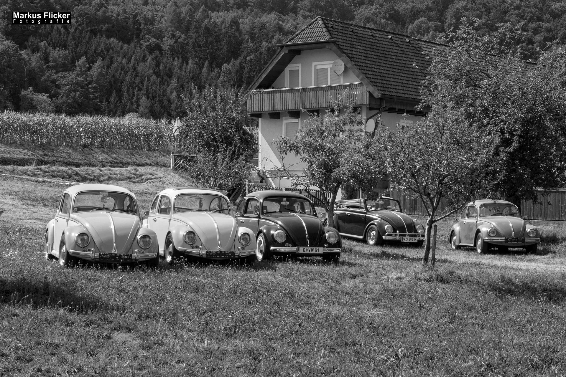 Fotoprojekt 365 Tage Streetphotography mit dem Smartphone. Fotografieren und Filmen mit dem Smartphone: Bessere Fotos und Videos mit dem Handy für Freizeit, Hobby und Business