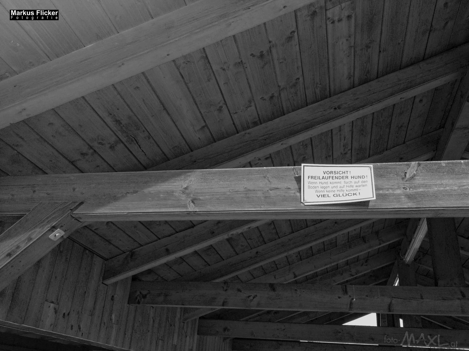 Fotoprojekt 365 Tage Streetphotography mit dem Smartphone. Fotografieren und Filmen mit dem Smartphone: Bessere Fotos und Videos mit dem Handy für Freizeit, Hobby und Business