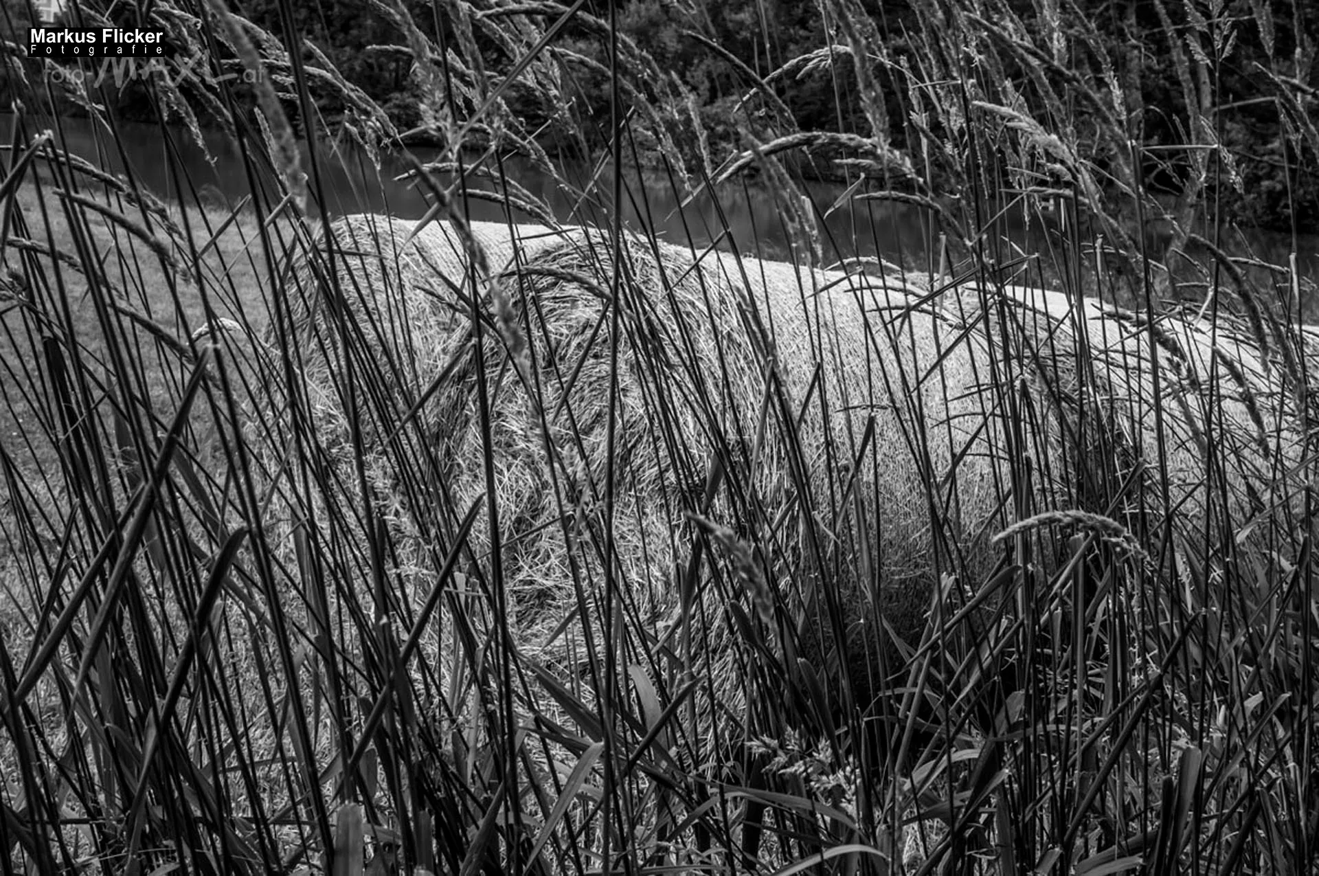 Fotoprojekt 365 Tage Streetphotography mit dem Smartphone. Fotografieren und Filmen mit dem Smartphone: Bessere Fotos und Videos mit dem Handy für Freizeit, Hobby und Business